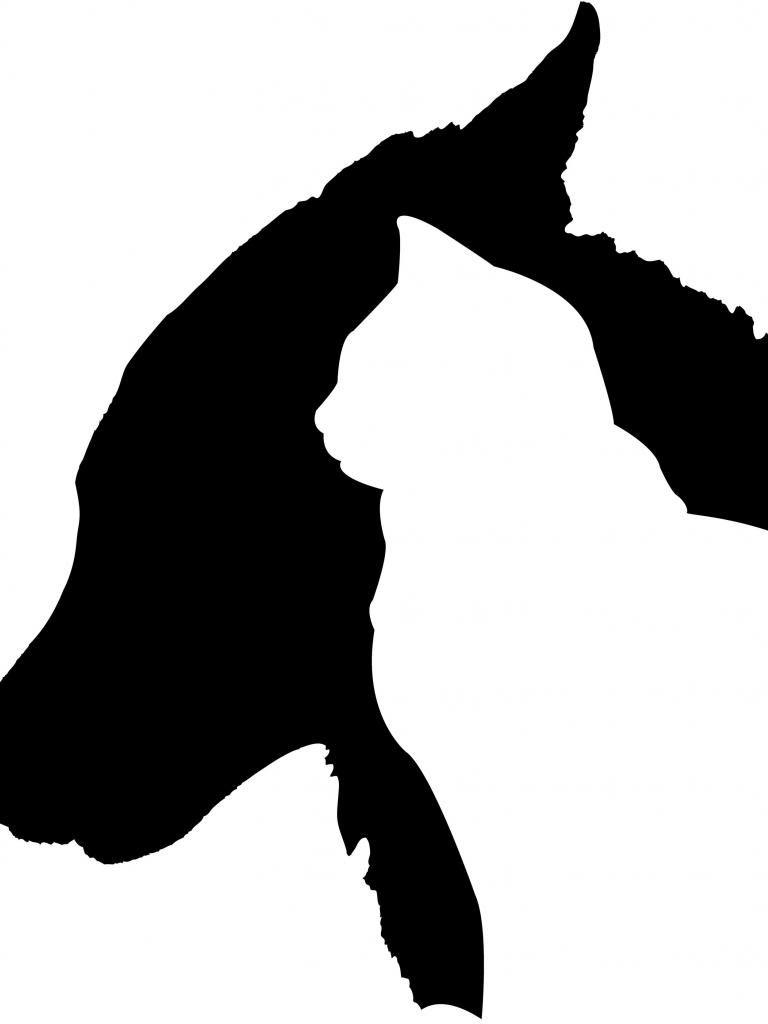768x1024 Free download Cat And Dog Silhouette HD Walls Find Wallpaper [897x1024] for your Desktop, Mobile & Tablet. Explore Dog Silhouette Wallpaper. Silhouette Wallpaper for Walls, Tree Silhouette Wallpaper, Woman Silhouette Wallpaper