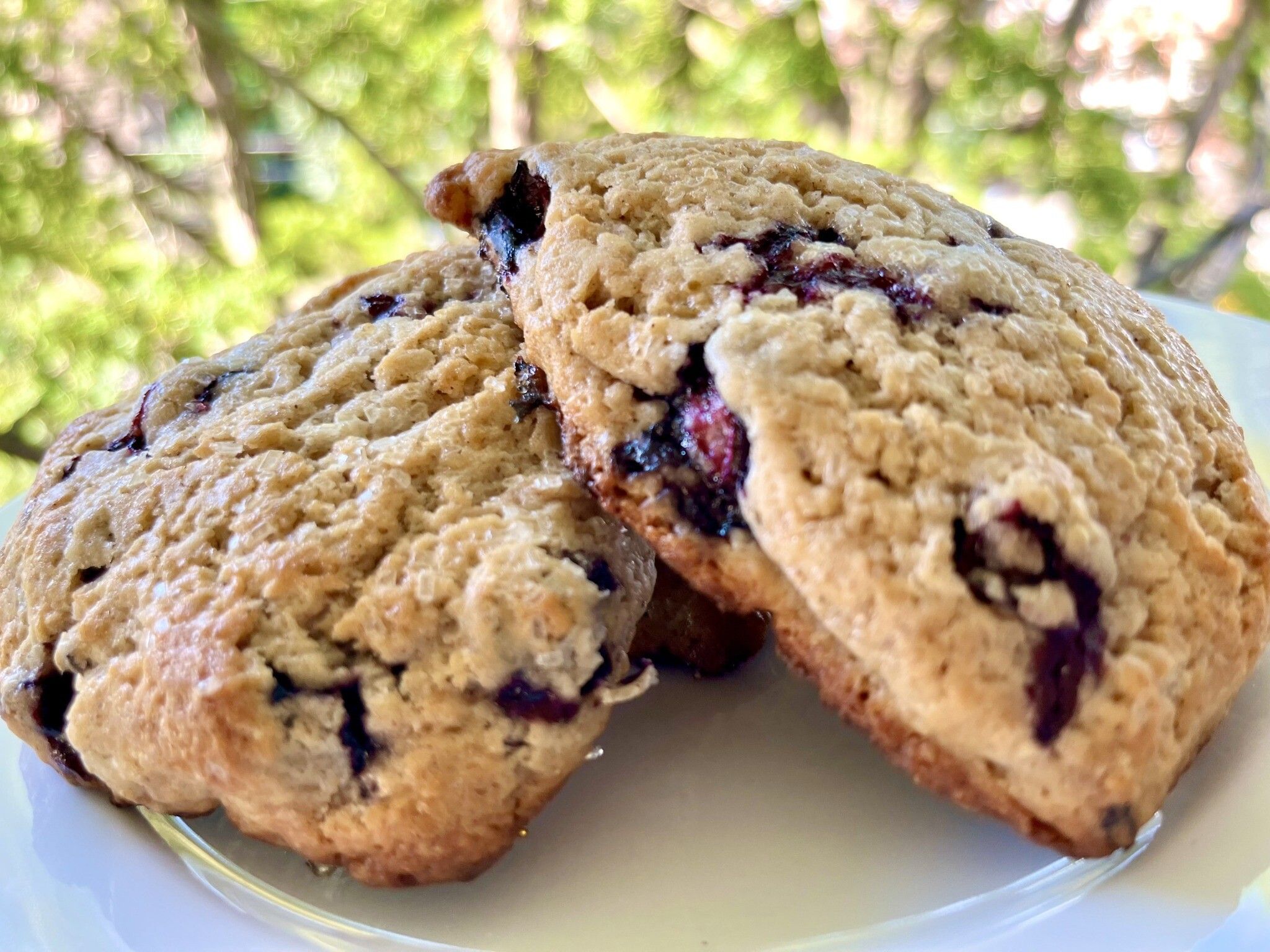 2048x1536 Rustic blueberry scones. The Pittsburgh Jewish Chronicle