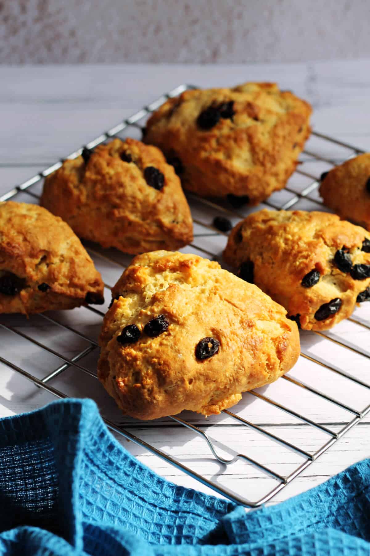 1200x1800 Fruit Scones