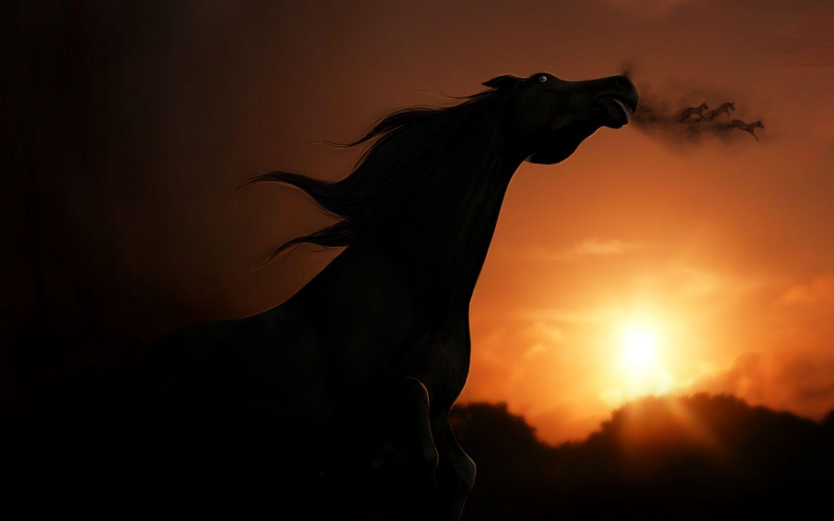 1680x1050 Free download Silhouette of horse wallpaper and image wallpaper picture [2000x1235] for your Desktop, Mobile & Tablet. Explore Dog Silhouette Wallpaper. Silhouette Wallpaper for Walls, Tree Silhouette Wallpaper, Woman Silhouette Wallpaper