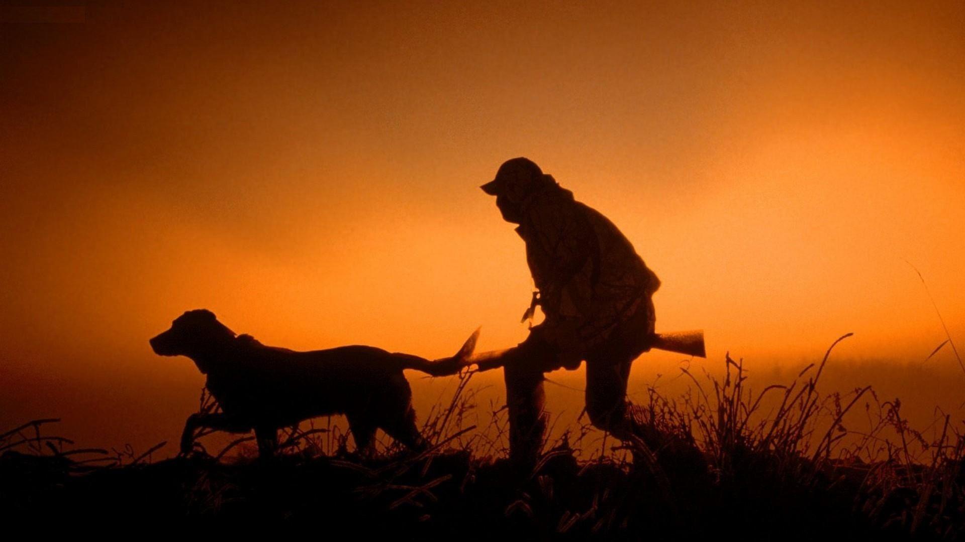 1920x1080 Dog silhouette wallpaper download