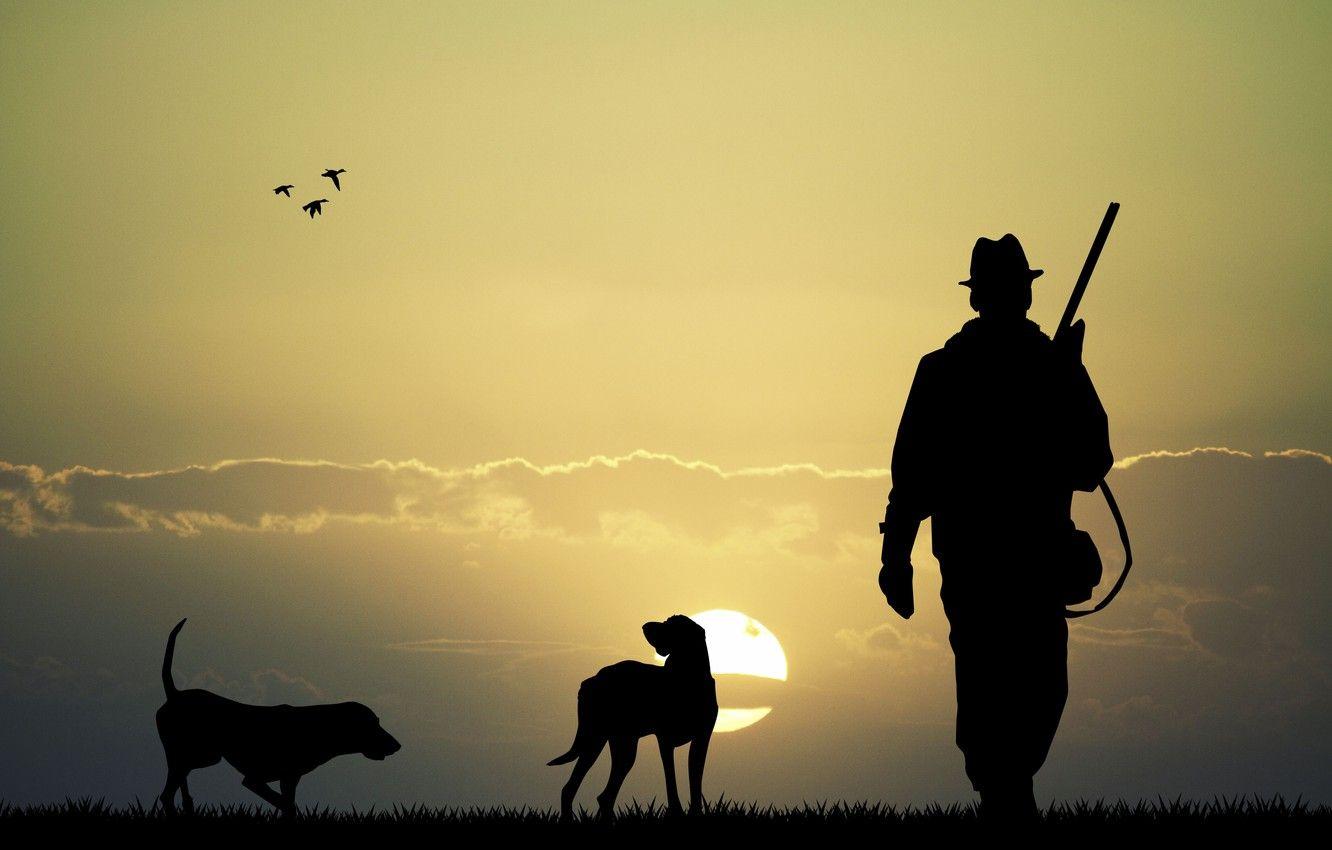 1332x850 Wallpaper dogs, the sky, sunset, nature, two, duck, plain, silhouette, hunting, the gun, rifle, hunter, rifle, wallpaper., beautiful background, beautiful background image for desktop, section разное
