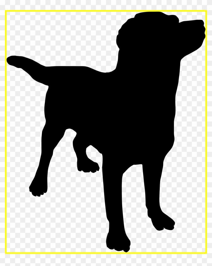 Dog Silhouette Wallpapers Top Free Dog Silhouette Backgrounds