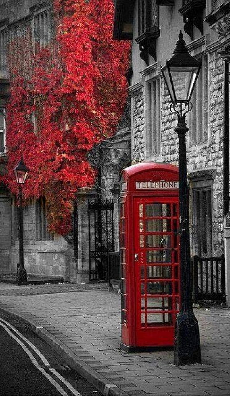 800x1376 HD london phone wallpaper