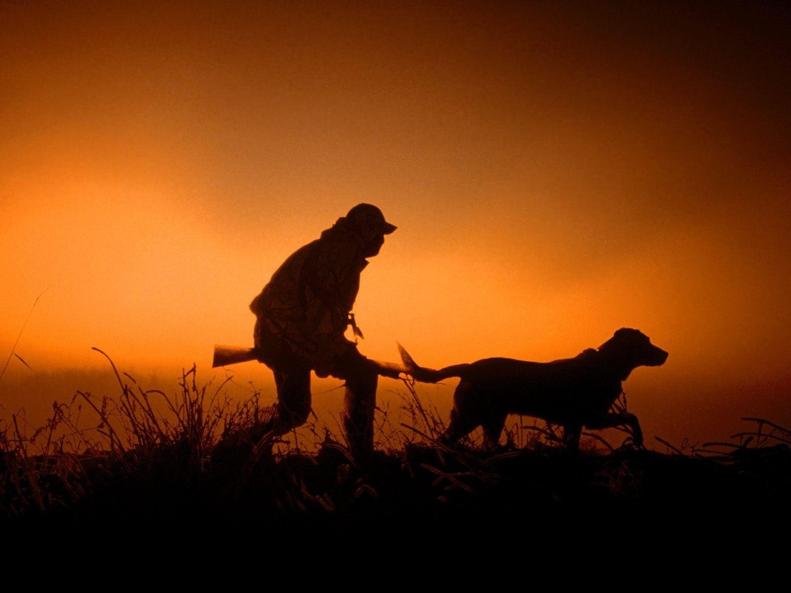 1600x1200 Dog Silhouette Wallpaper 1600x1200