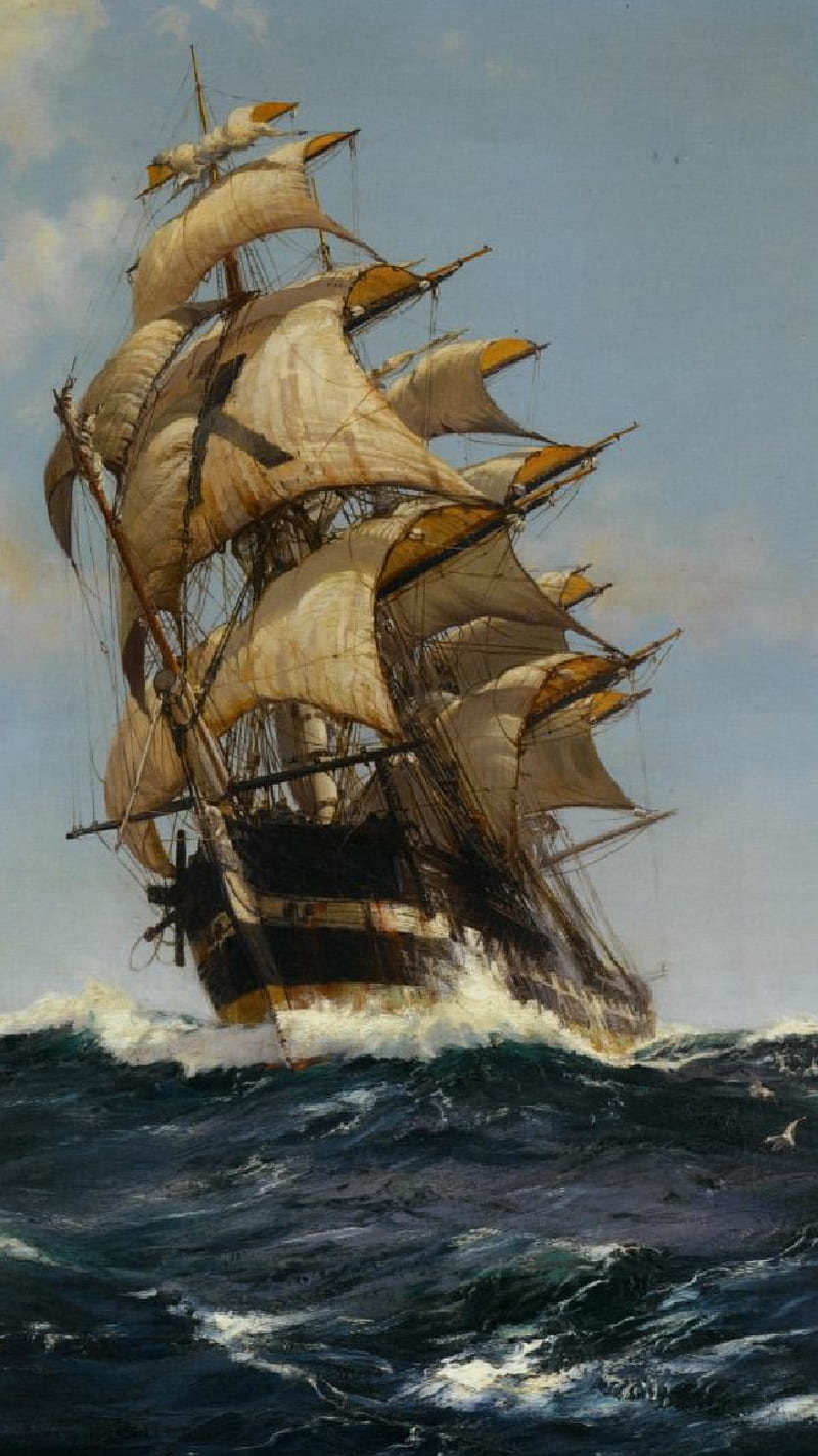 800x1422 HD ship in rough seas wallpaper
