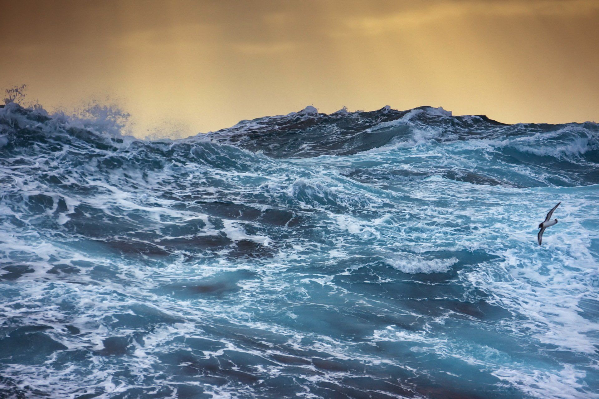 1920x1280 Roaring Ocean Waves