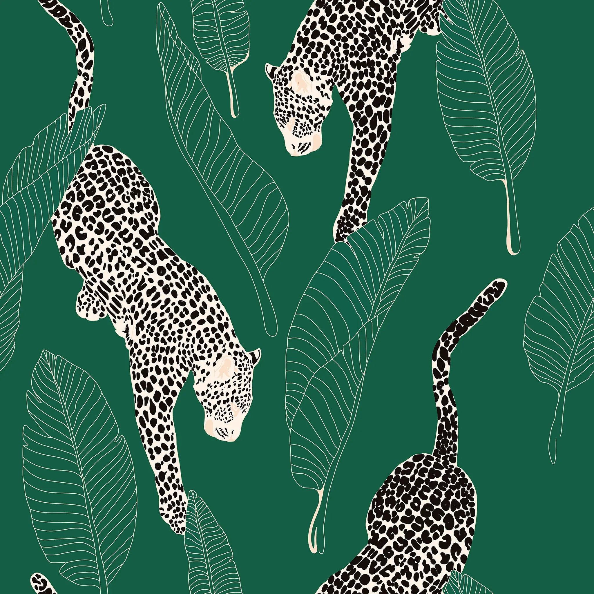 2048x2048 Leopards Wallpaper animal themed Design. DeccoPrint Peel & Stick / 28 × 108