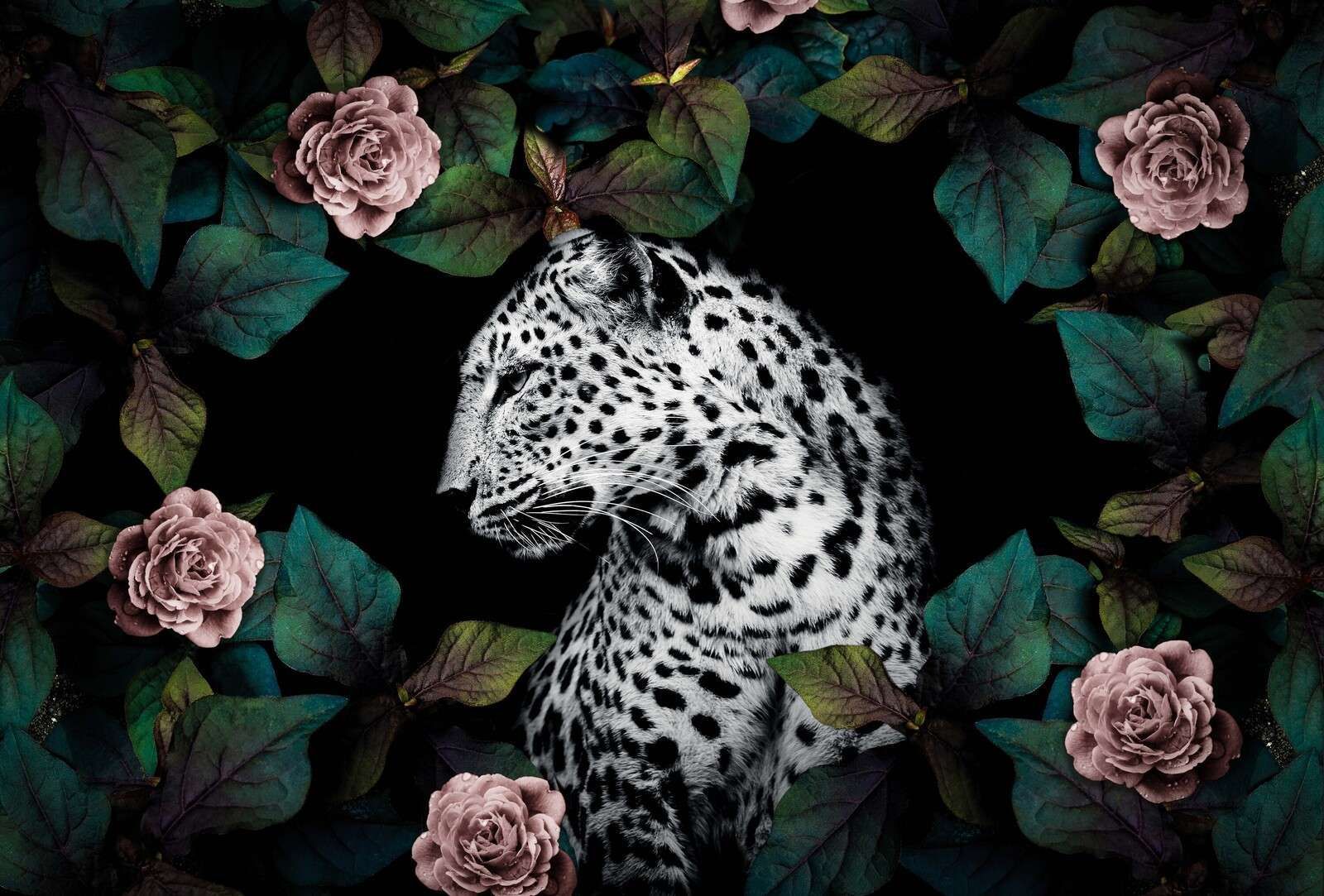 1600x1083 Wallpaper Mural among velvet flowers