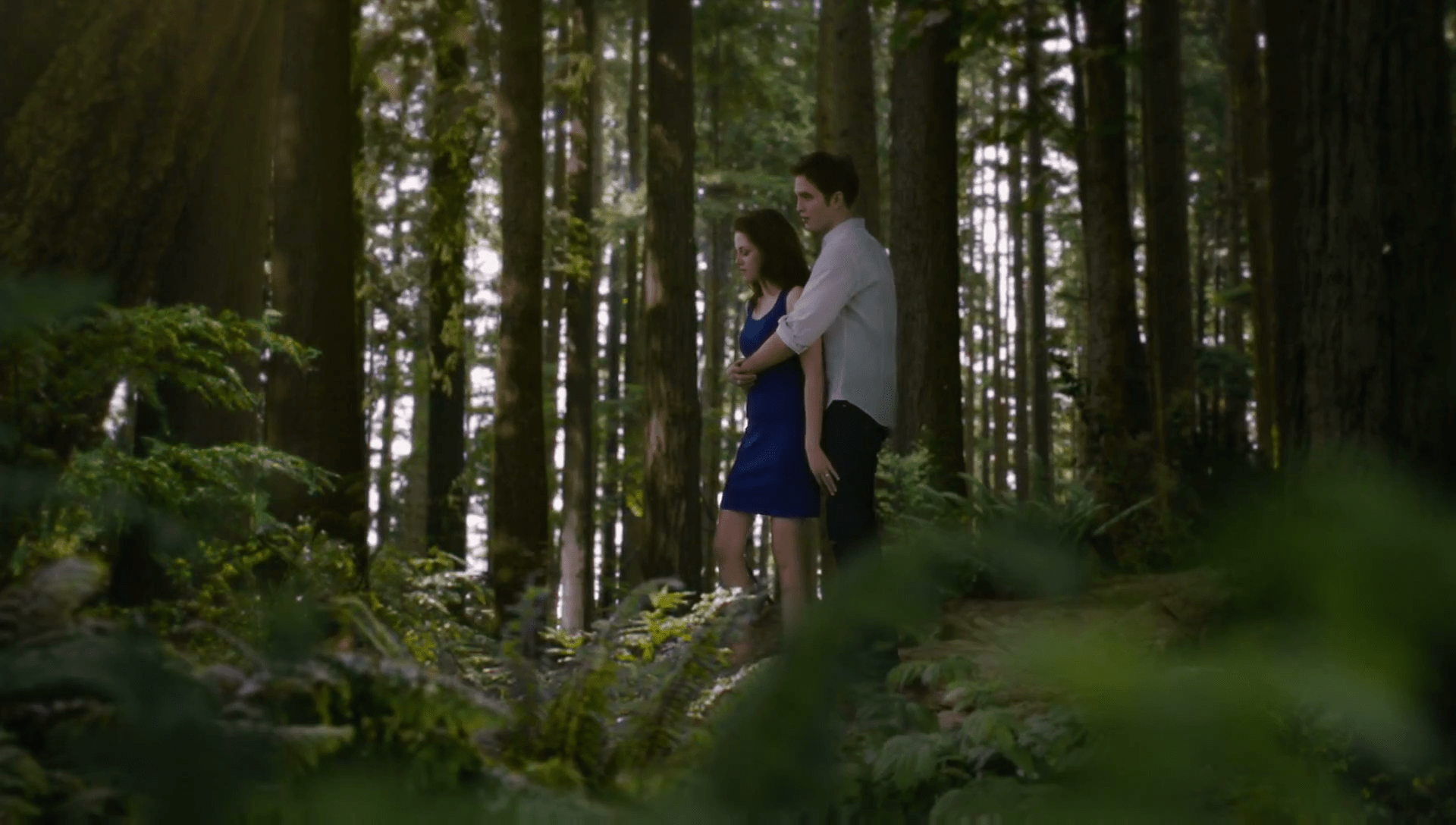 1920x1088 Twilight Breaking Dawn Part 2