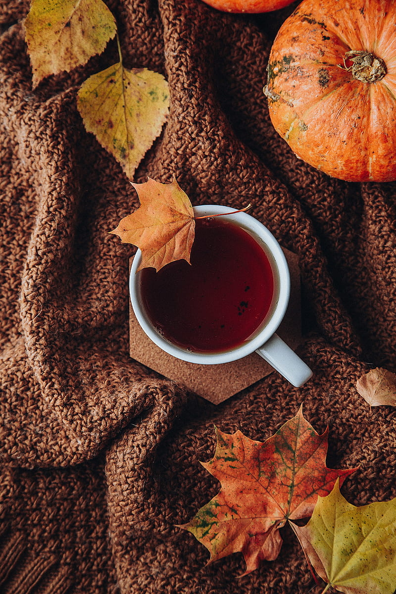 800x1200 Tea, cup, autumn, leaves, comfort, HD phone wallpaper