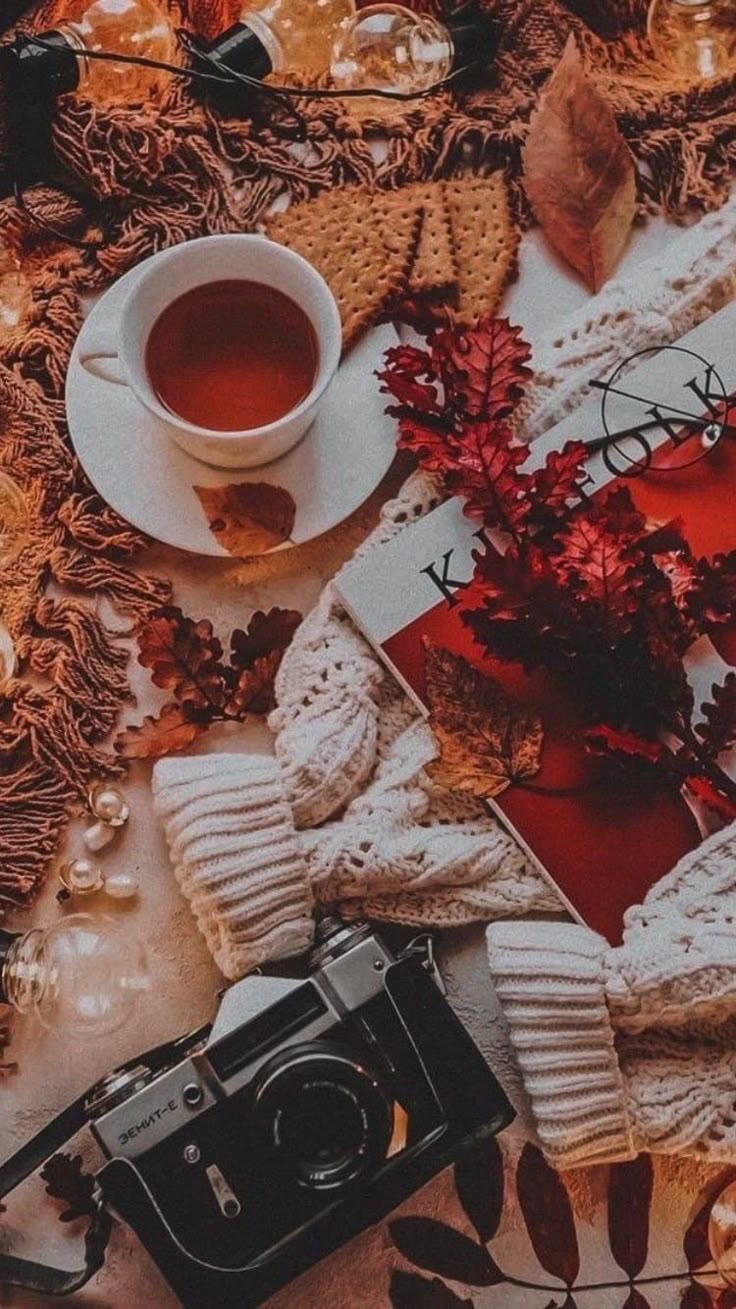 736x1309 Autumn Magic: Cute Fall Wallpaper with Tea and Vintage Camera. November hintergrundbild, Fensterbeleuchtung weihnachten, Lampion