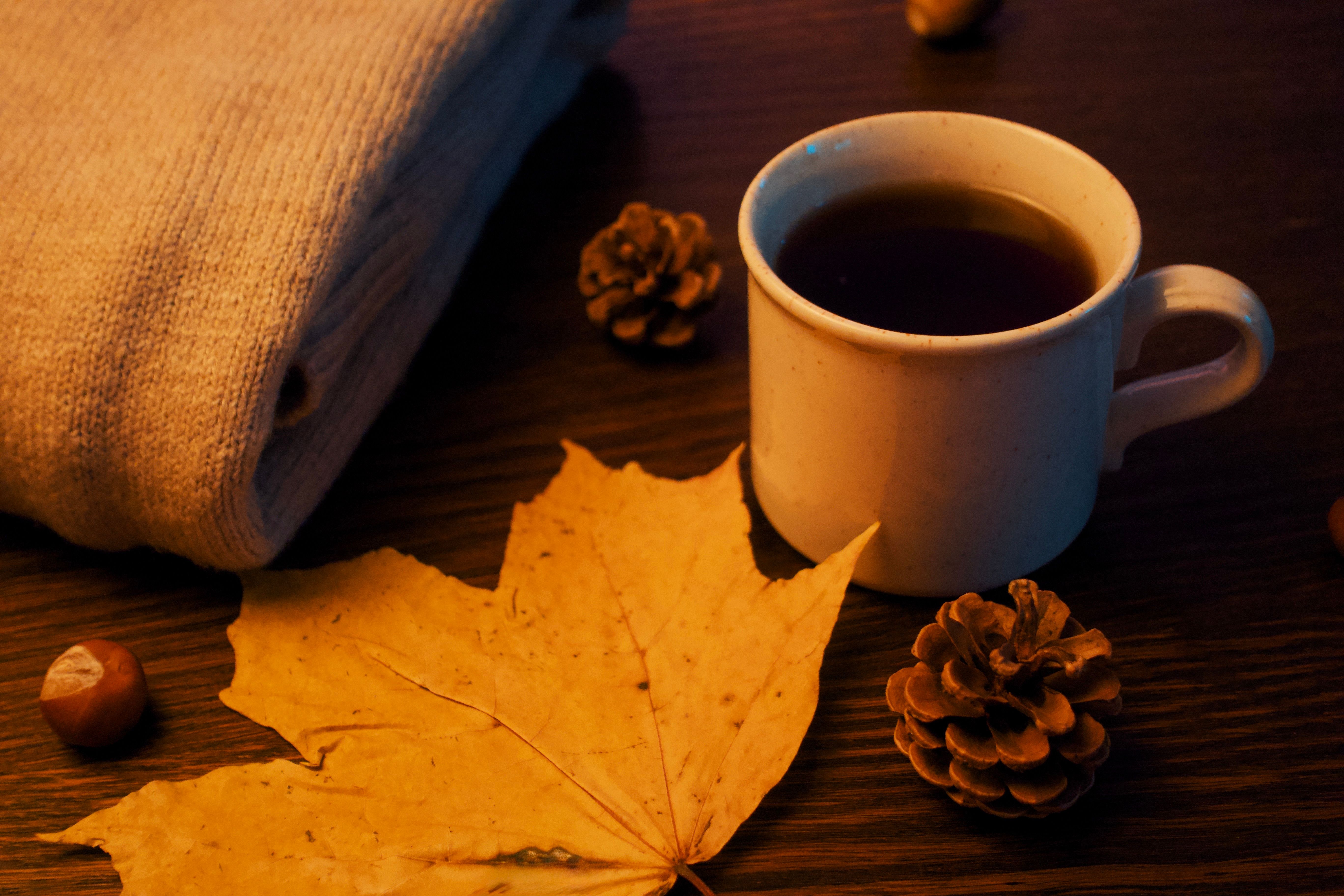 5472x3648 Autumn Tea Photo, Download The BEST Free Autumn Tea & HD Image