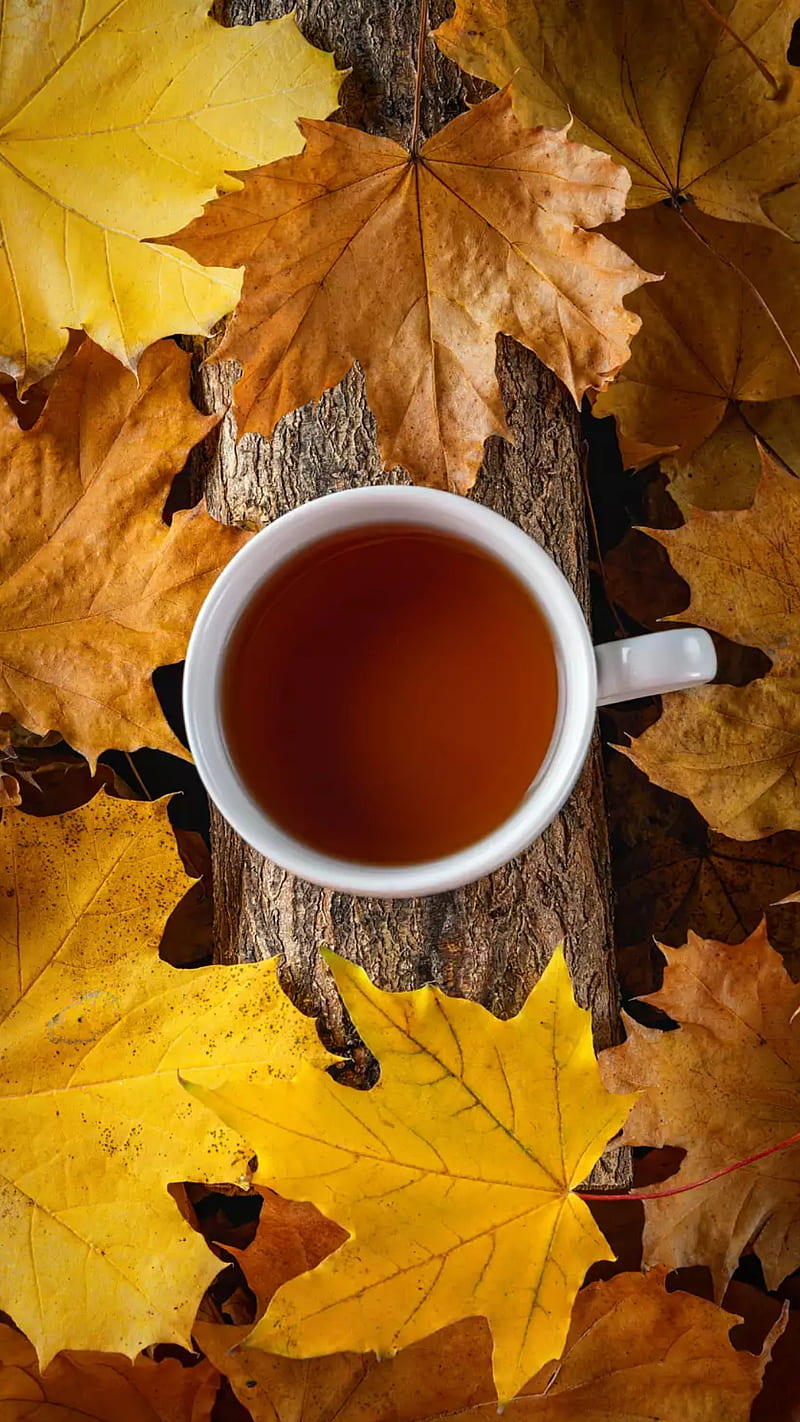 800x1422 HD fall tea wallpaper