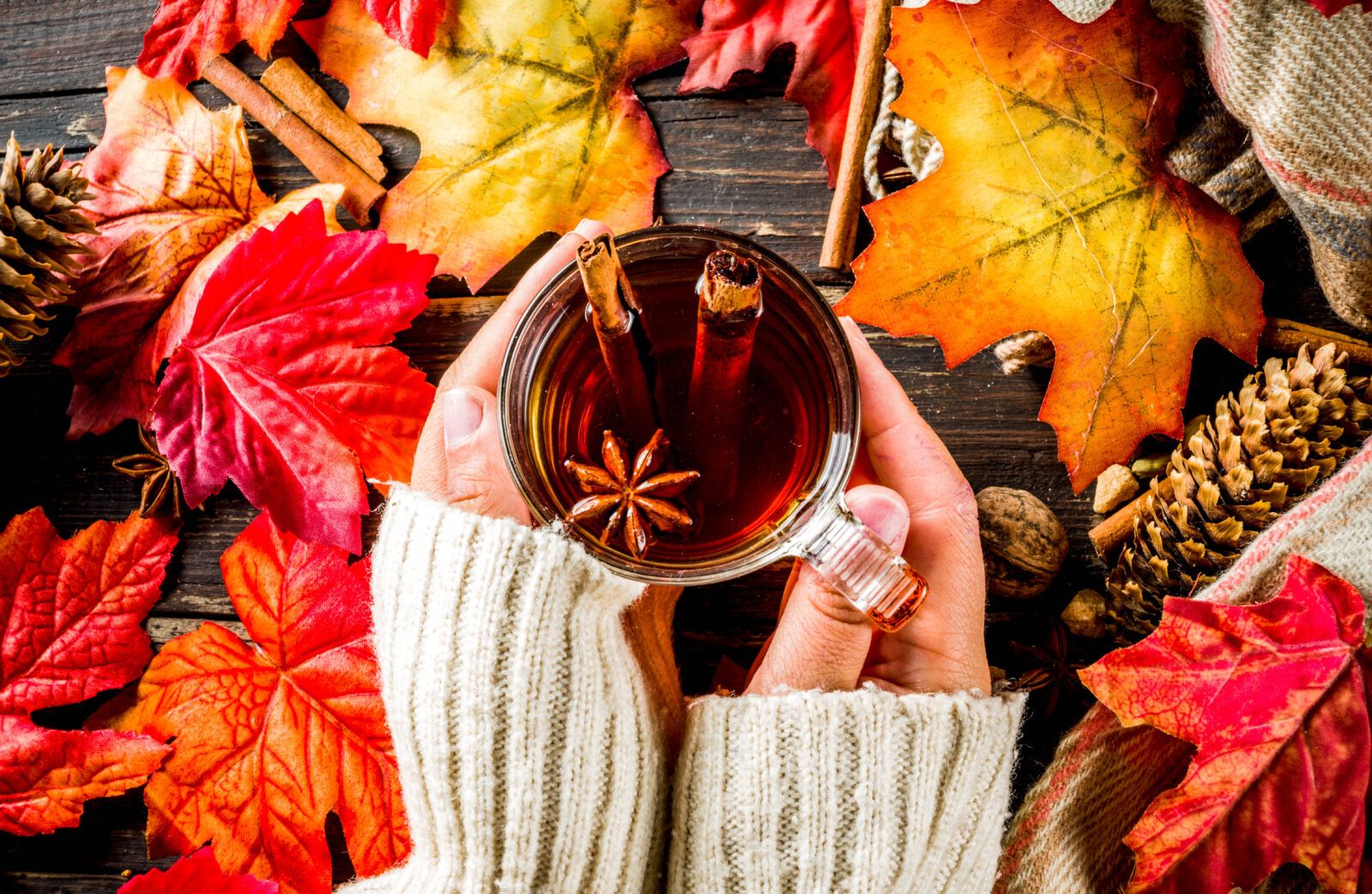 1600x1042 Autumn Teas Combine Fall Happy Flavors And Ingenuity