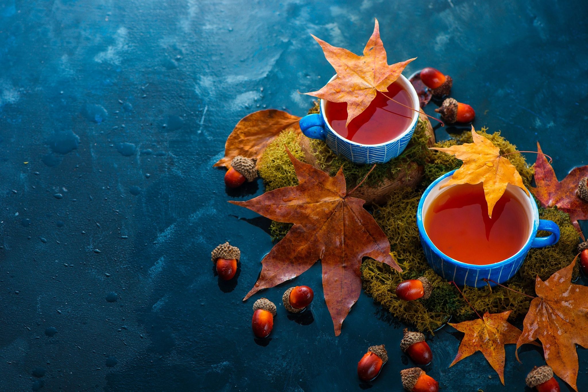 2048x1367 Autumn Serenity: Still Life Tea with Leaves and Acorns HD Wallpaperx1367