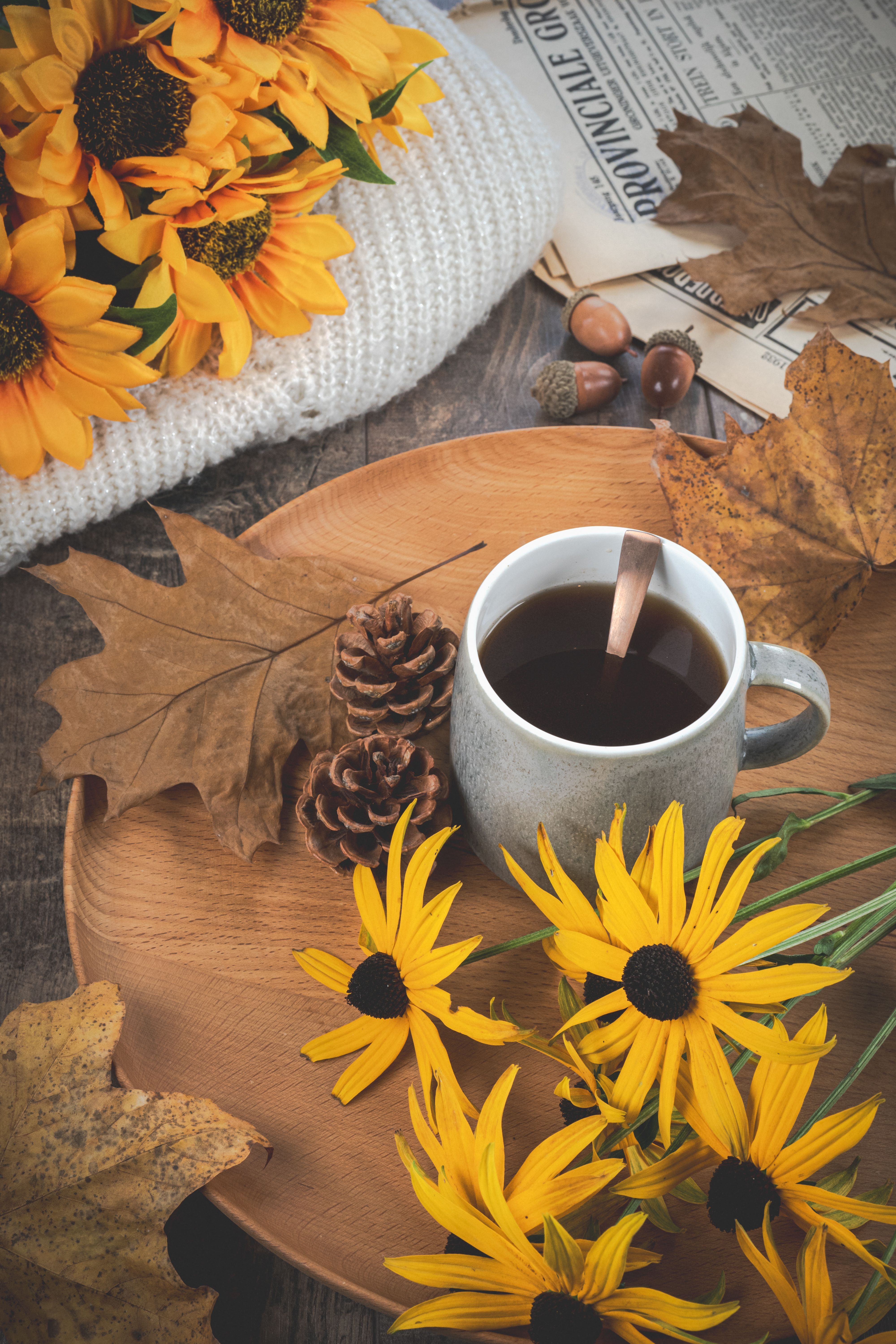 4000x6000 Autumn Tea Photo, Download The BEST Free Autumn Tea & HD Image