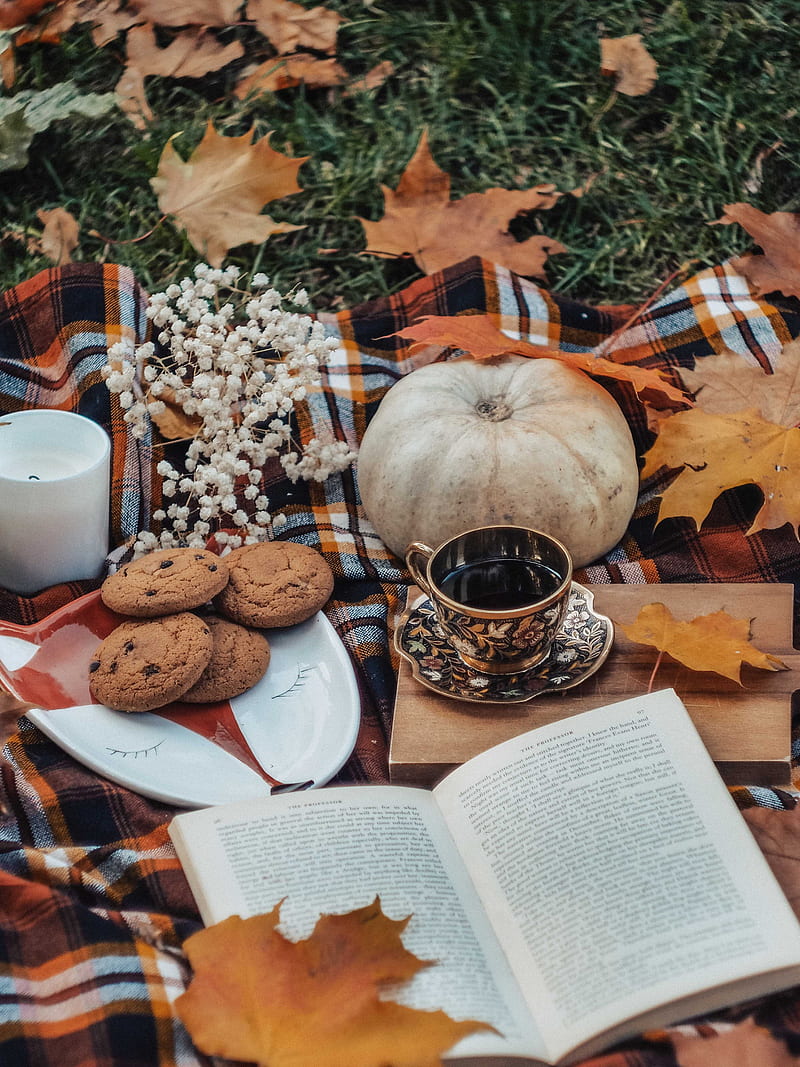 800x1067 Tea, book, autumn, cookies, leaves, pumpkin, HD phone wallpaper