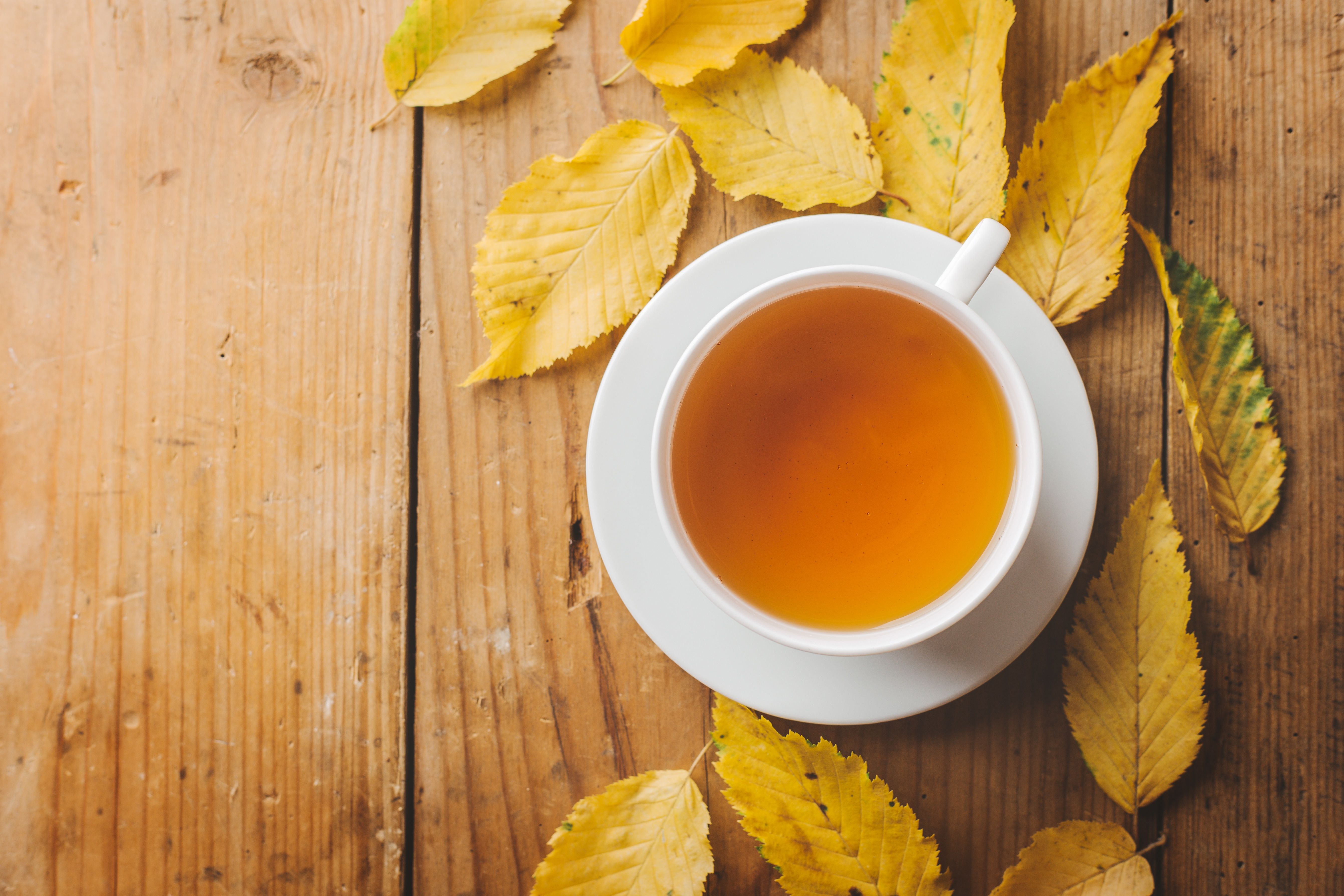 5366x3577 Free autumn, leaves 5K wallpaper for desktop and phone