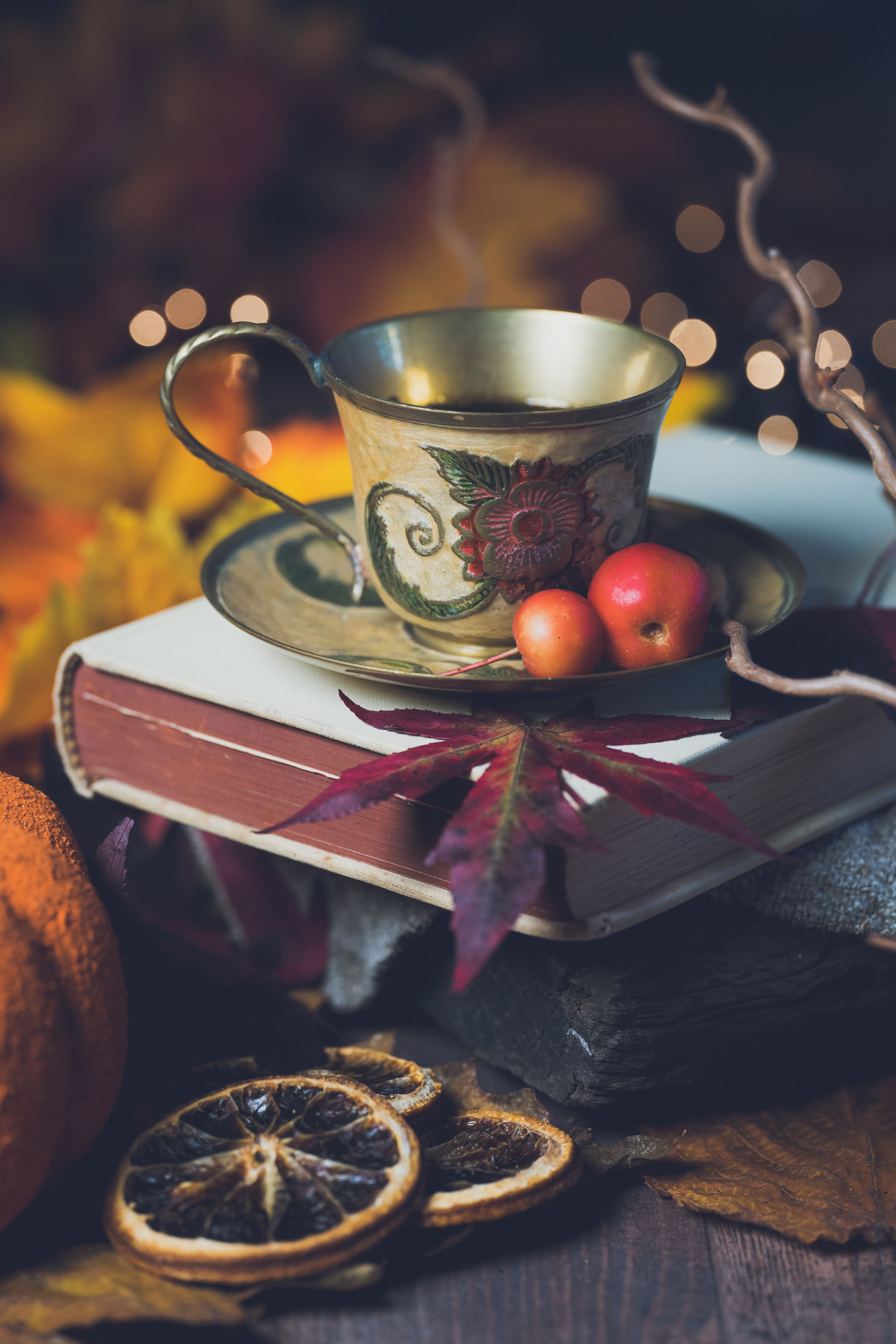 4000x6000 Autumn Still Life with Cup and Book · Free