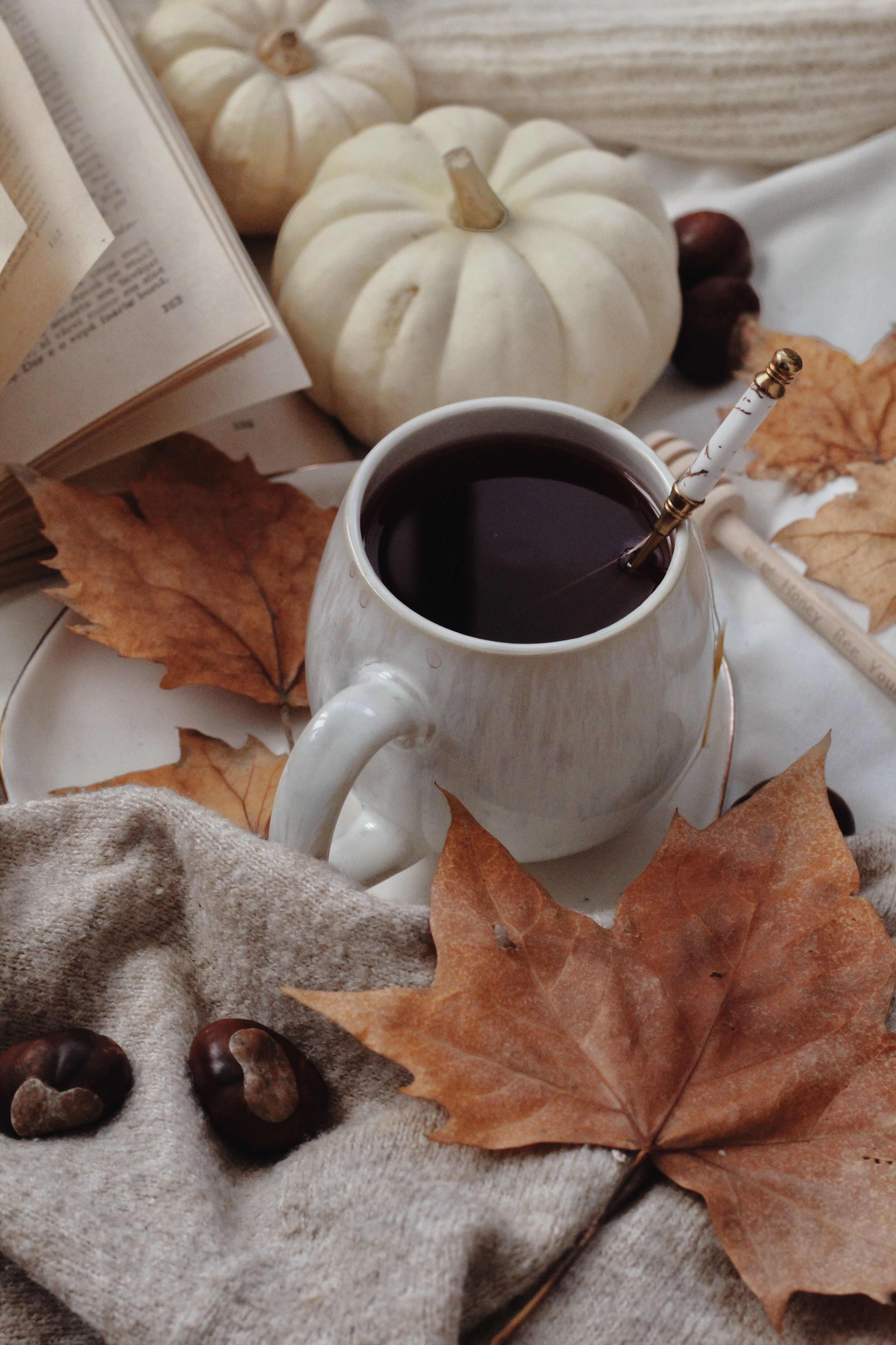 3456x5184 Autumn Leaves with Tea Cup · Free