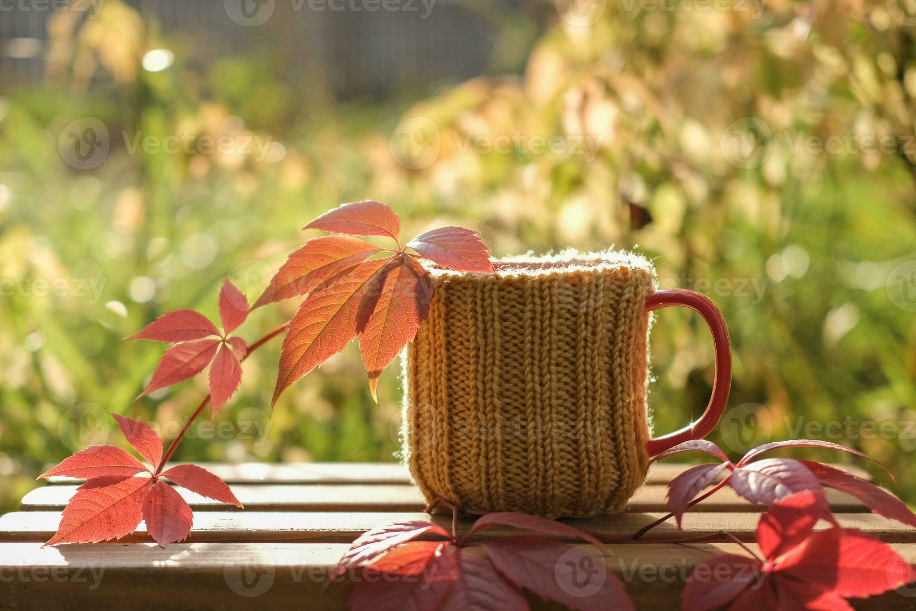 2940x1960 A cup of tea with bright fallen leaves against the backdrop of an autumn garden. A cup of hot tea on a sunny day