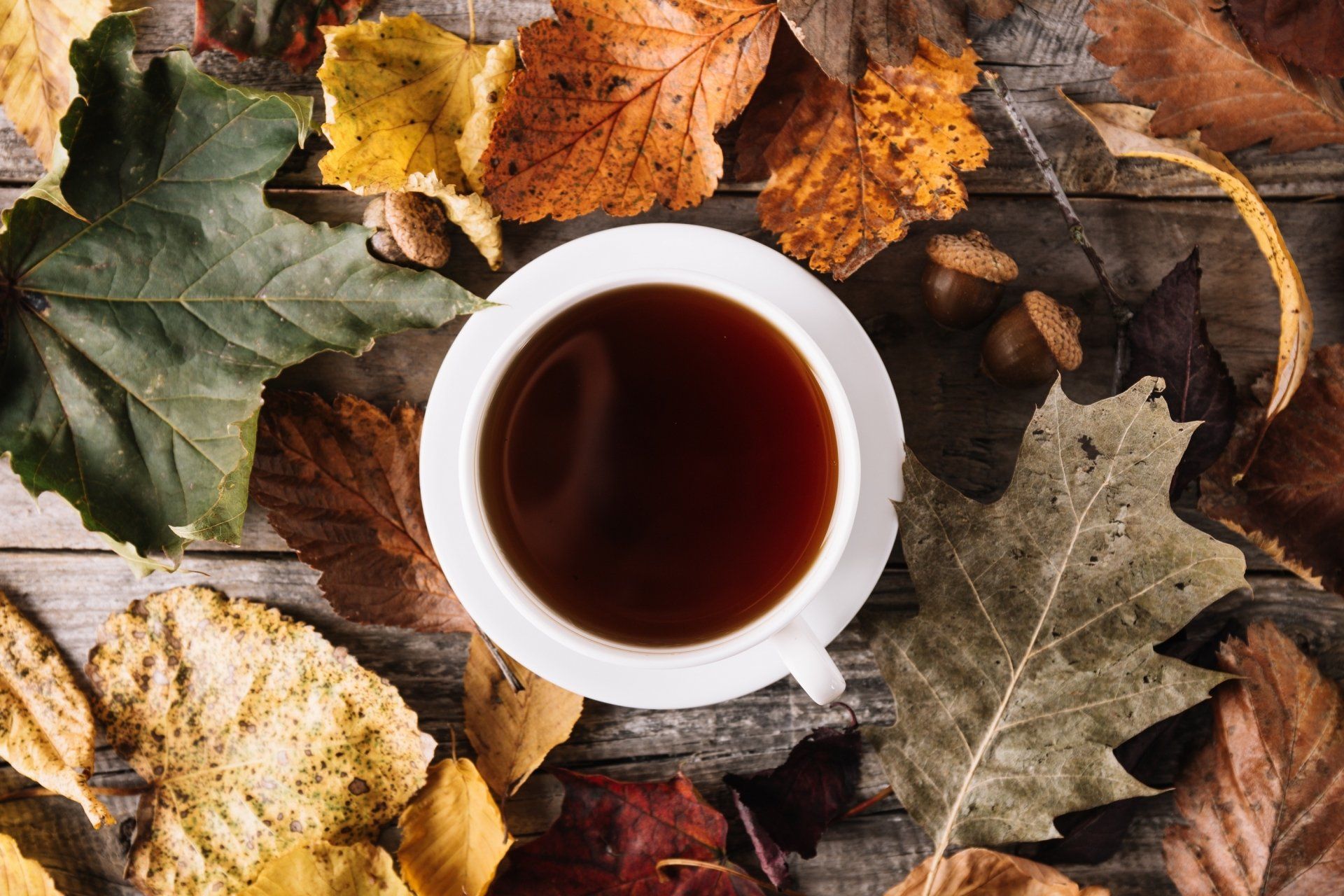 1920x1280 2K Autumn Tea Still Life