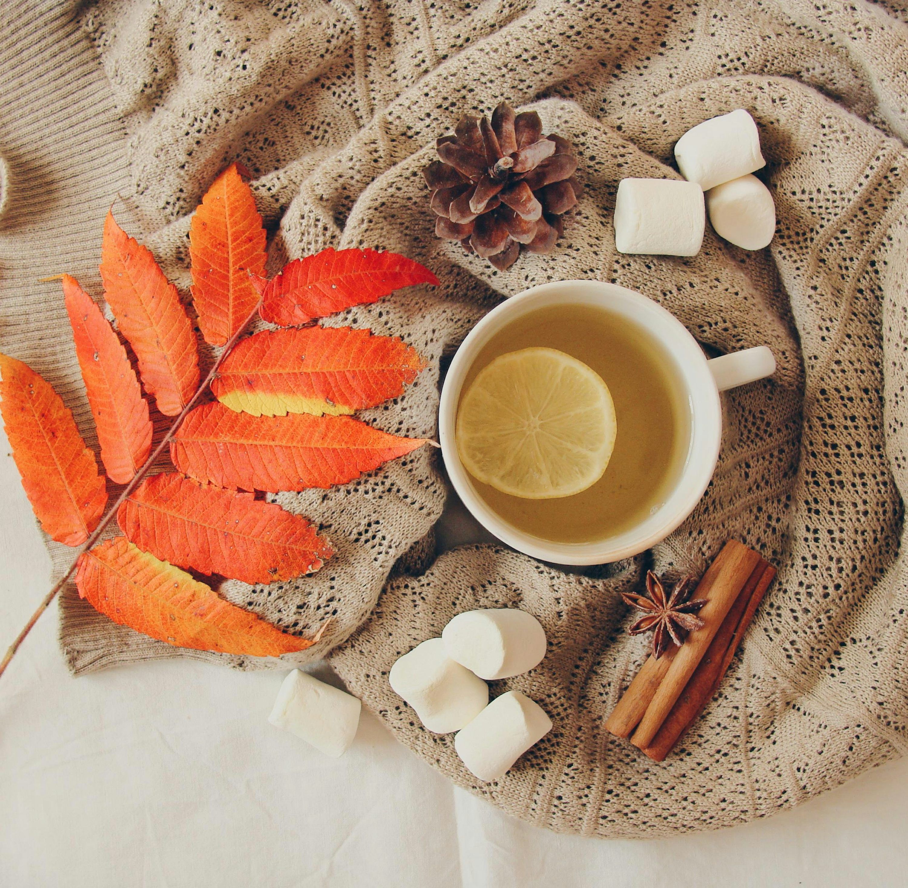 3000x2933 Cozy autumn tea with marshmallows and cinnamon
