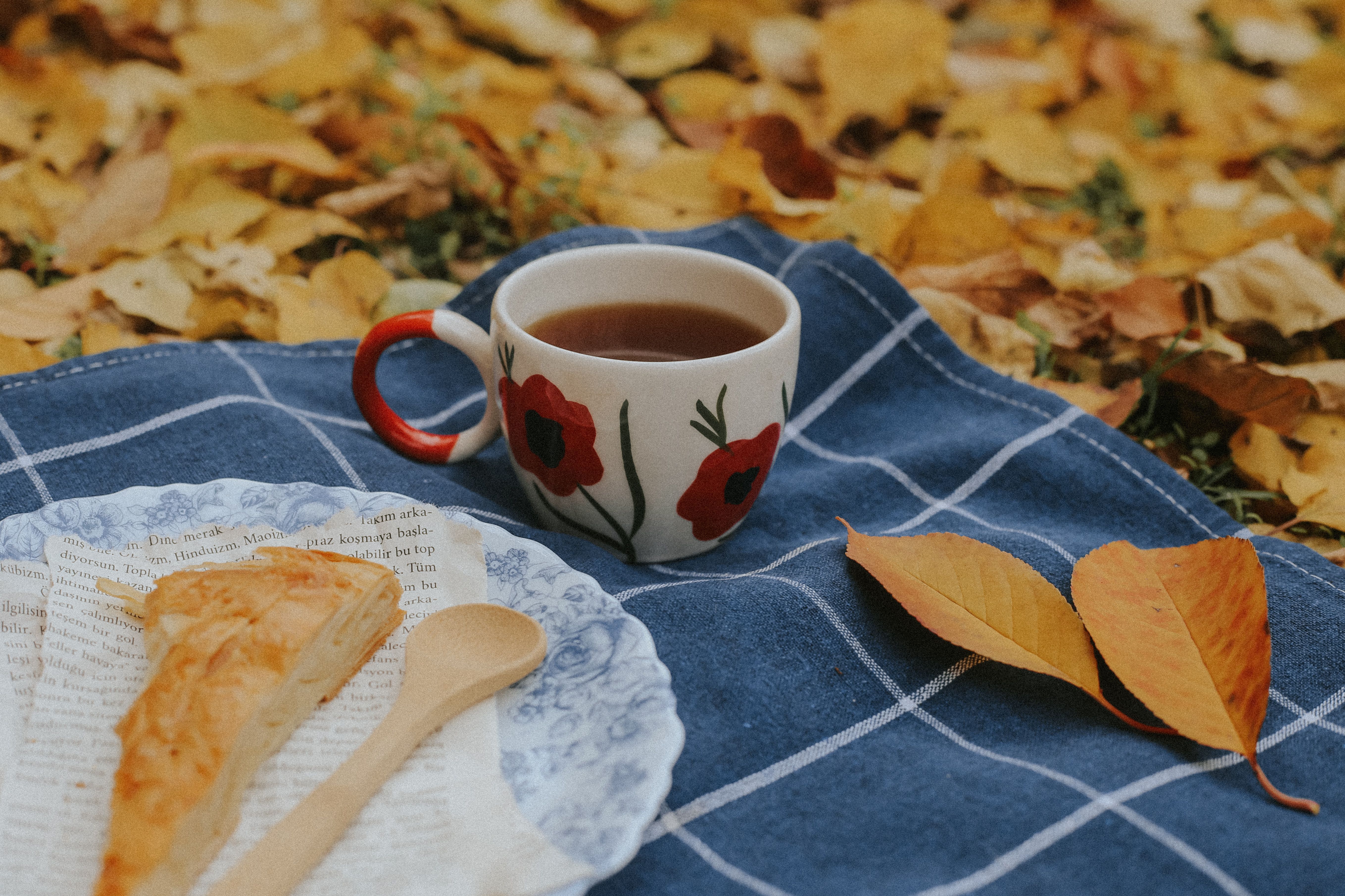 5435x3624 Autumn Picnic with Tea and Pastry · Free