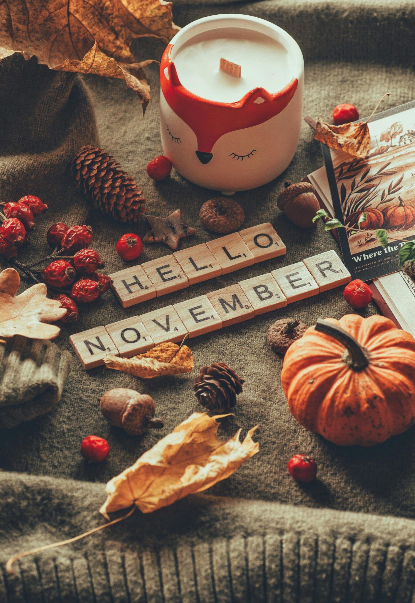1763x2560 Fall Teas. USDA Certified Organic Teas