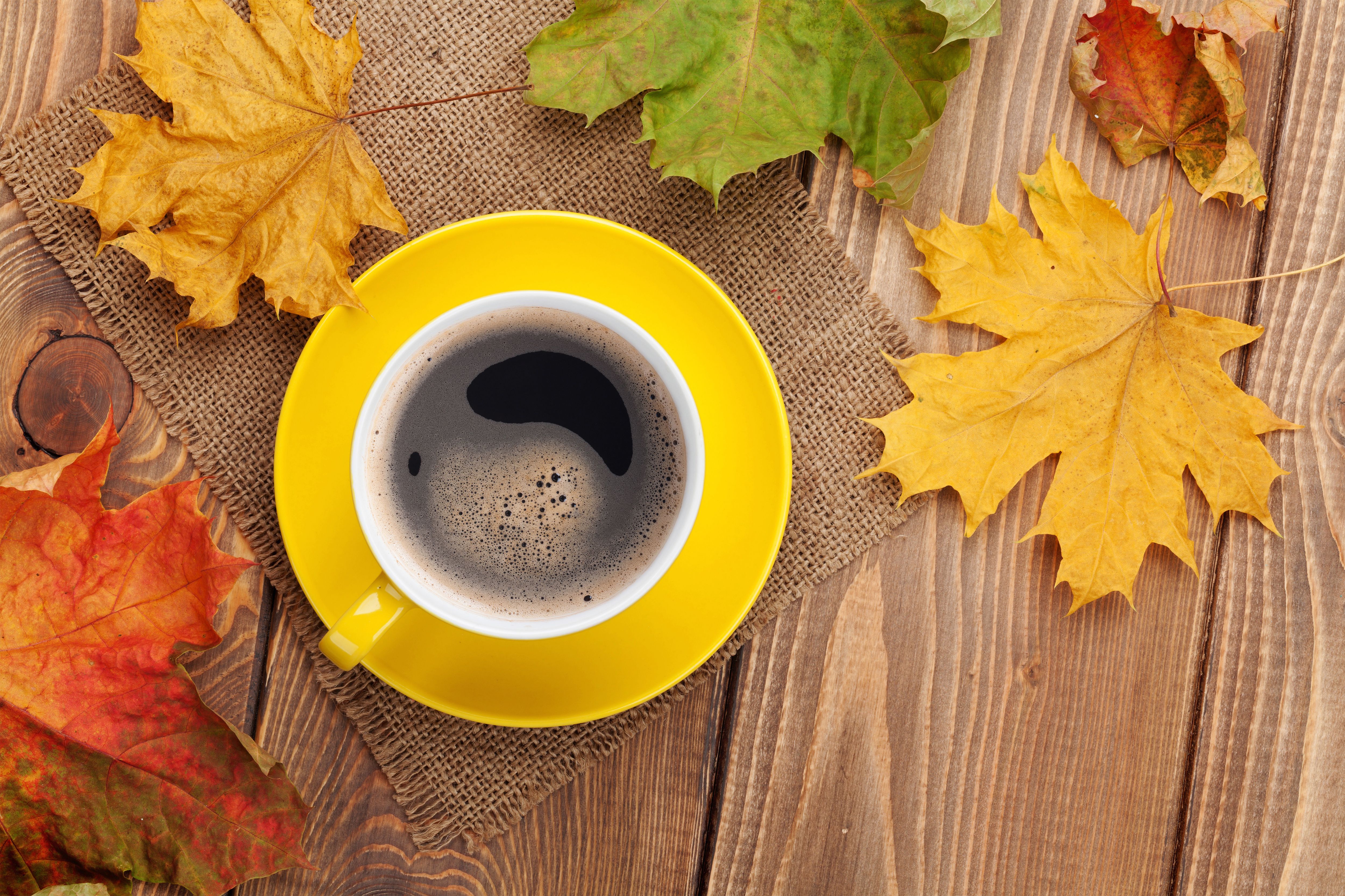 5000x3333 Fall Background with Leaves and Cup of Coffee​-Quality Free Image and Transparent PNG Clipart