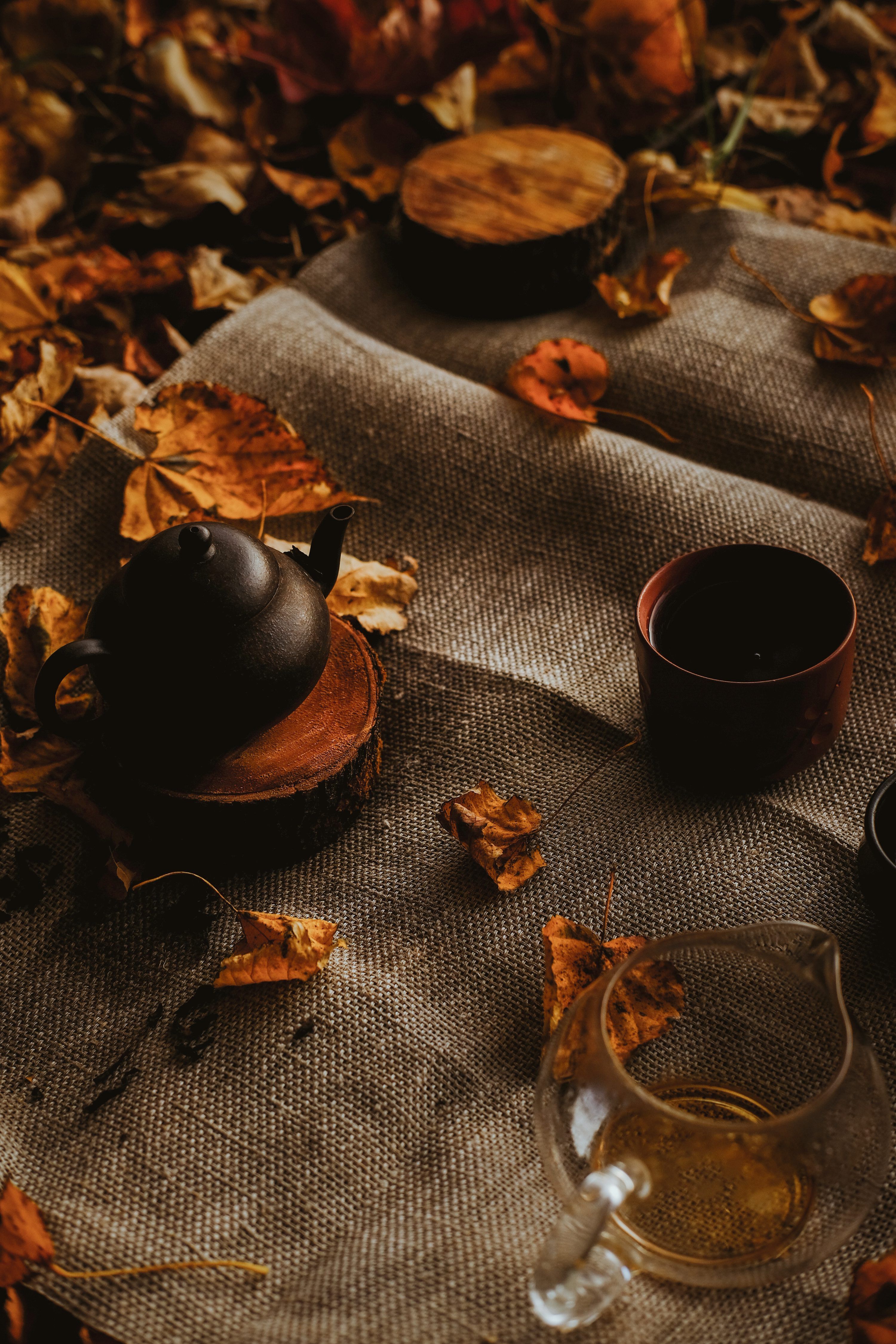 3000x4500 Autumn Tea Picture. Download Free Image