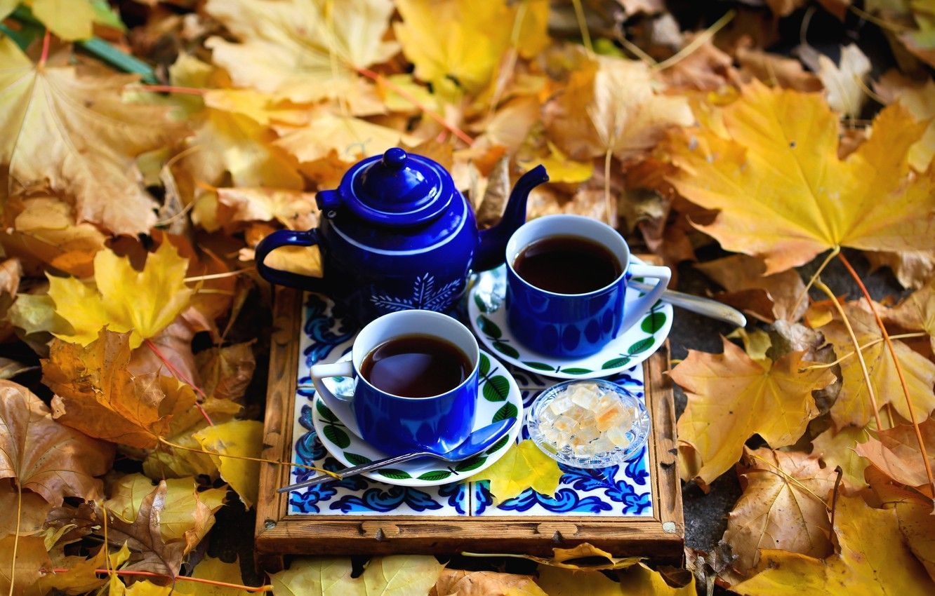 1332x850 Autumn Tea Cup Wallpaper