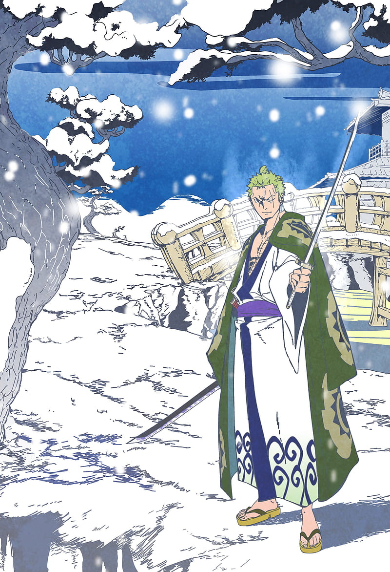 800x1171 Zoro, Wano, Anime, One Piece, Manga, HD phone wallpaper