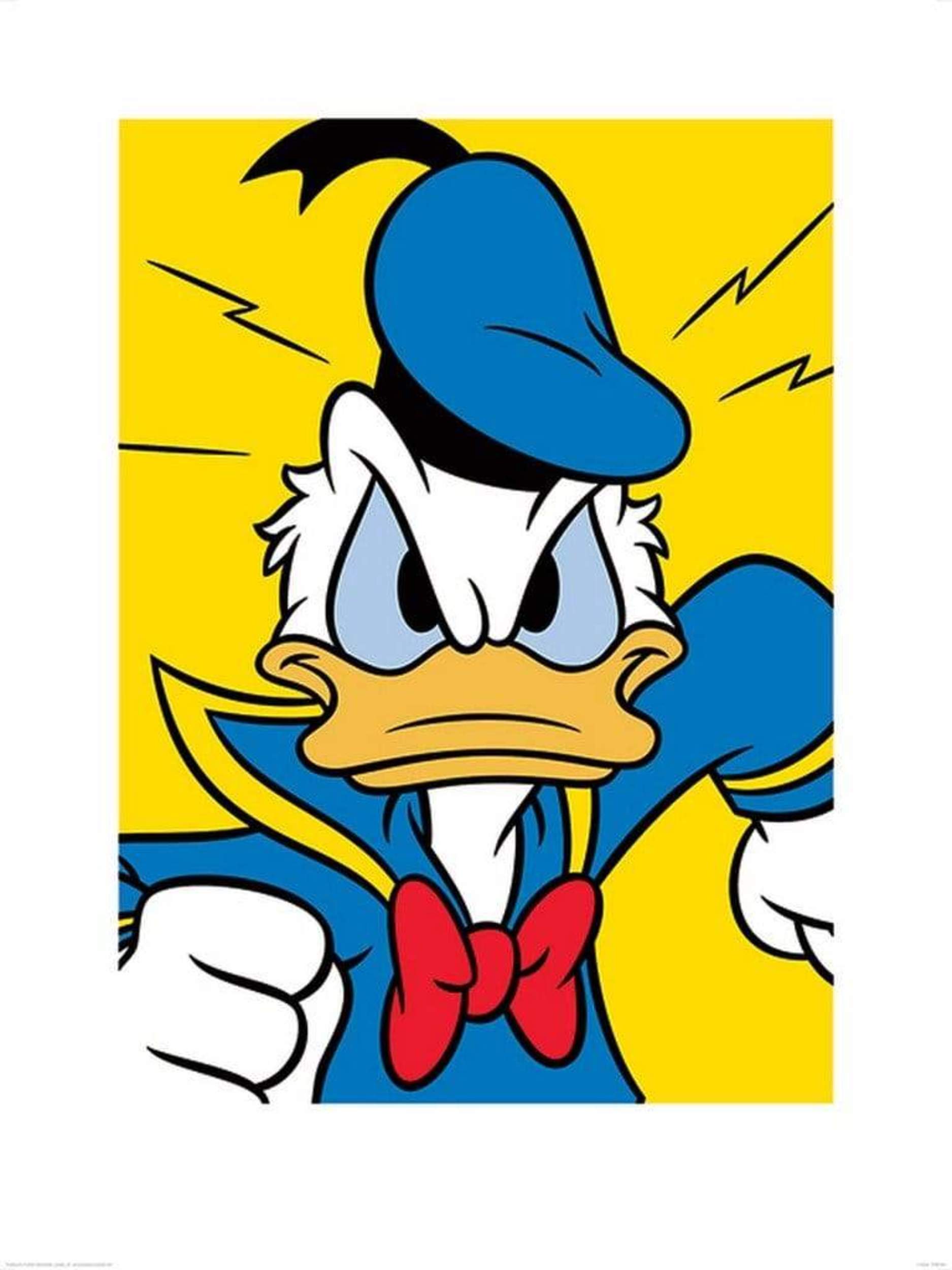 1875x2500 Art Print Donald Duck Mad 60x80cm