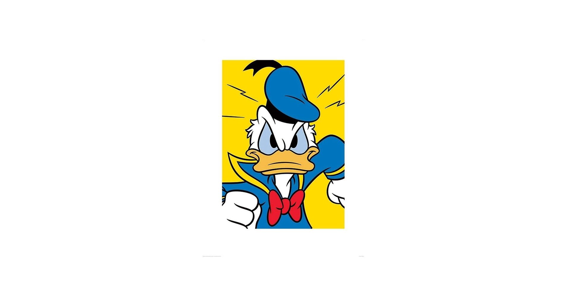 1910x1000 Donald Duck Mad 60 x 80 cm Art Print : Amazon.sg: Home