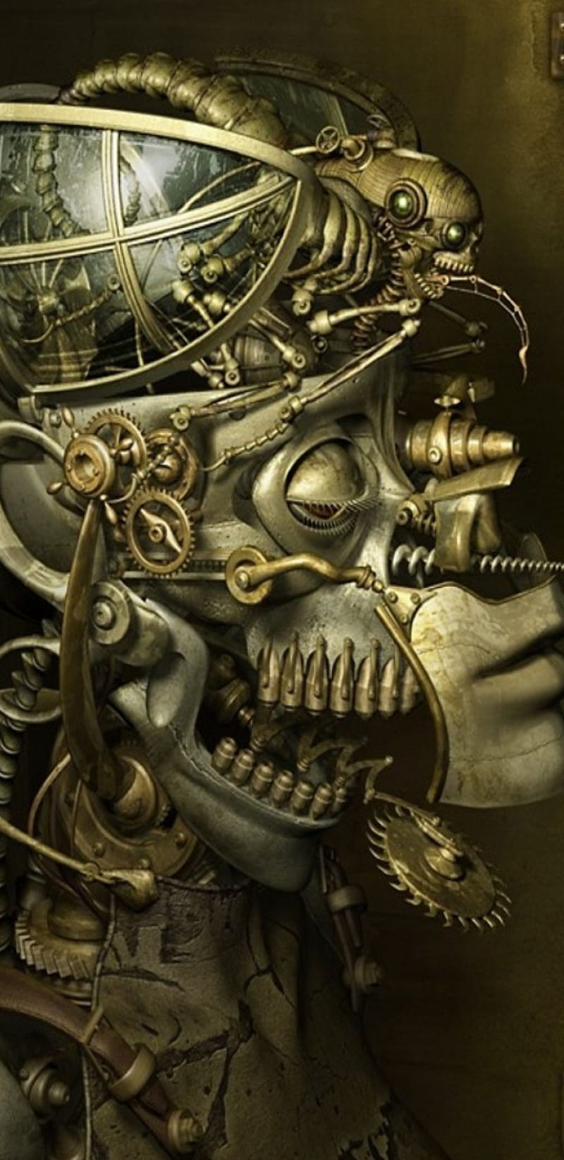 800x1644 Steampunkskull, bronze, copper, dome, glass, metal, mind, skeleton, skull, solid, HD phone wallpaper