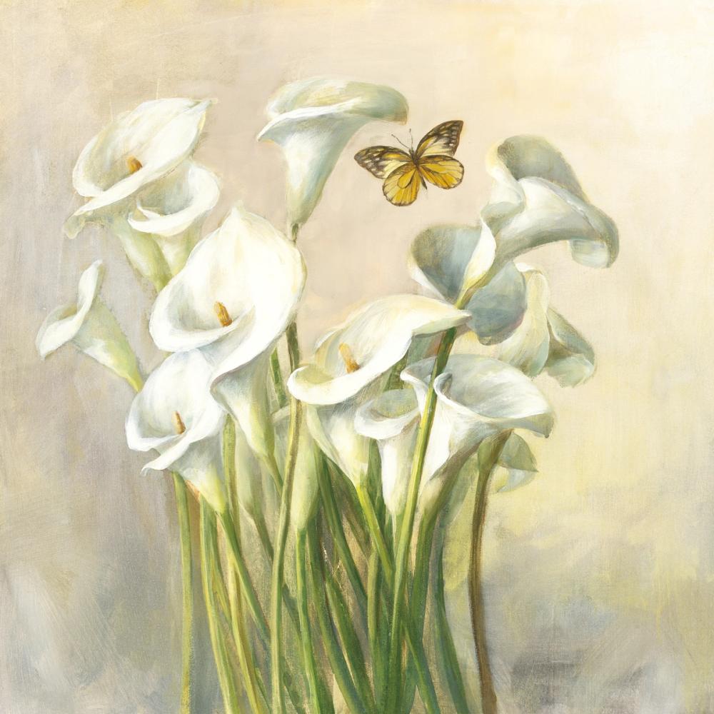 1000x1000 White Calla Lilies