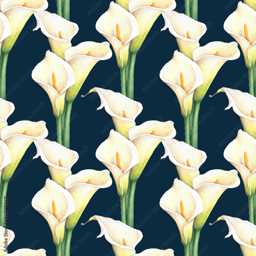 1000x1000 Watercolor white calla lilies flower seamless pattern on dark background. Elegant botanical drawing for decor, wallpaper, textile design. Stock Illustration