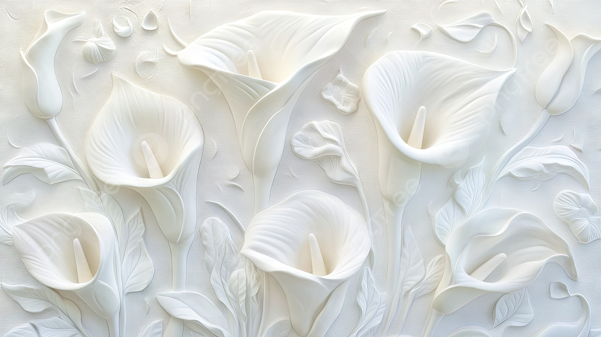 1200x672 Calla Lilies Pattern In White Wall Background, Calla Lilies, Pattern, White Background Image And Wallpaper for Free Download