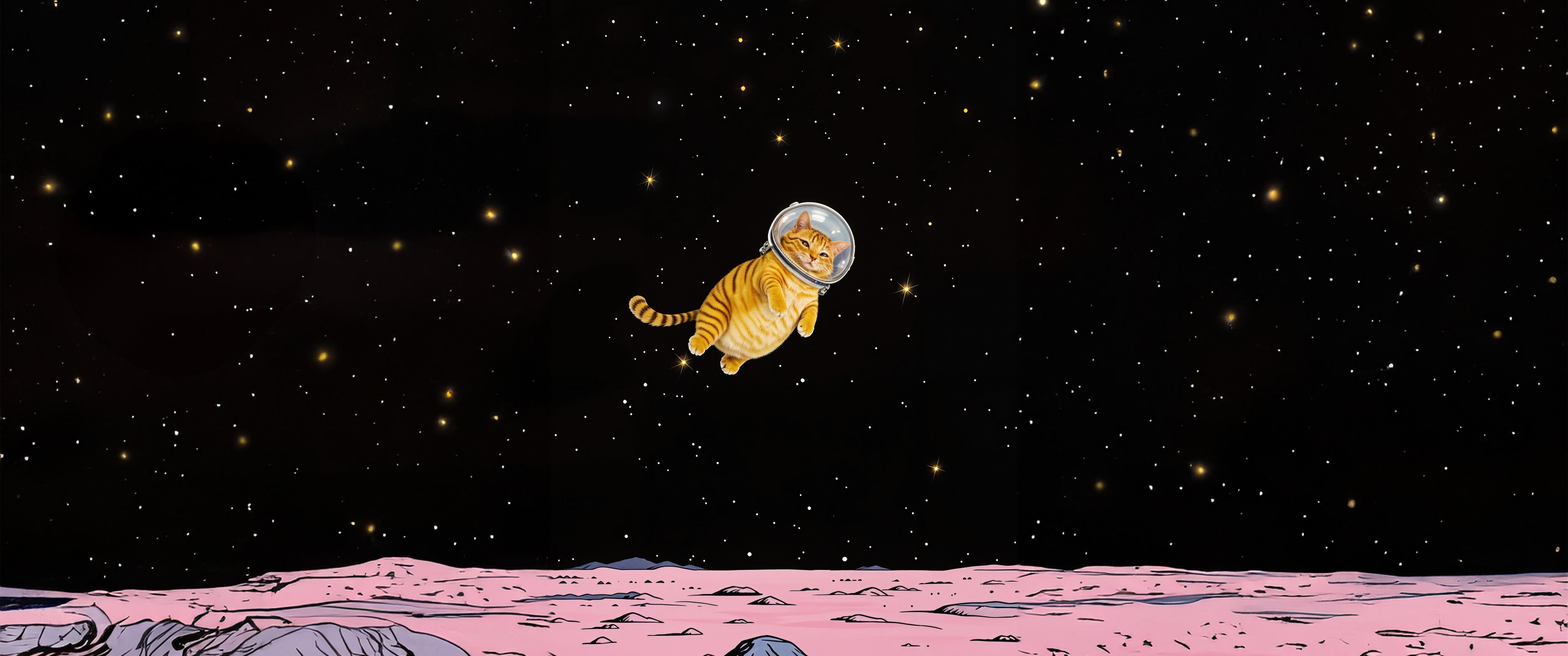 3440x1440 Cat In Space UltraWide Quad HD 1440P , HD 4k Wallpaper, Image, Background, Photos and Picture
