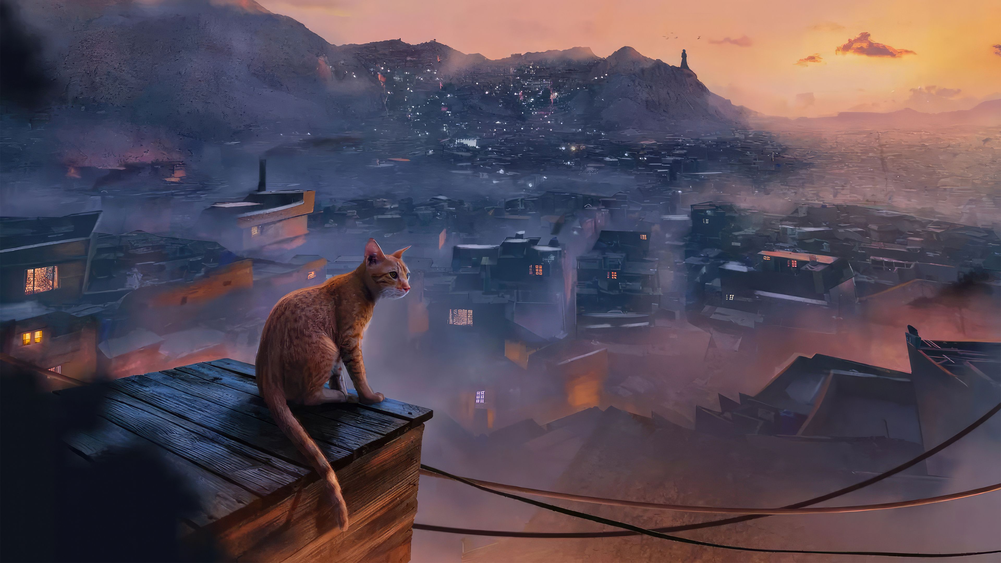 3840x2160 Stray Cat UltraWide Quad HD 1440P , HD 4k Wallpaper, Image, Background, Photos and Picture