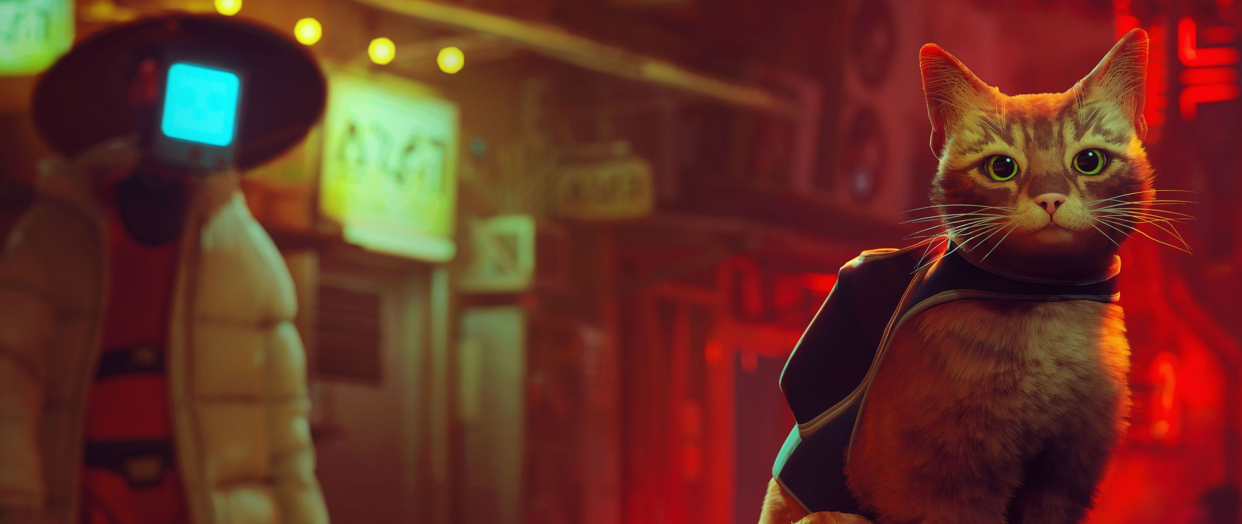 2560x1080 Stray Wallpaper 4K, PlayStation cat, PC Games