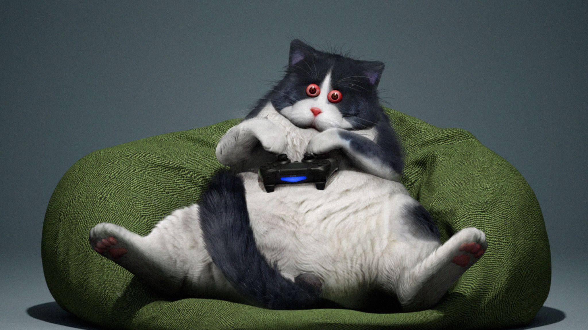 2048x1152 Download wallpaper 2048x1152 cat, gamepad, funny, cool, gamer ultrawide monitor HD background