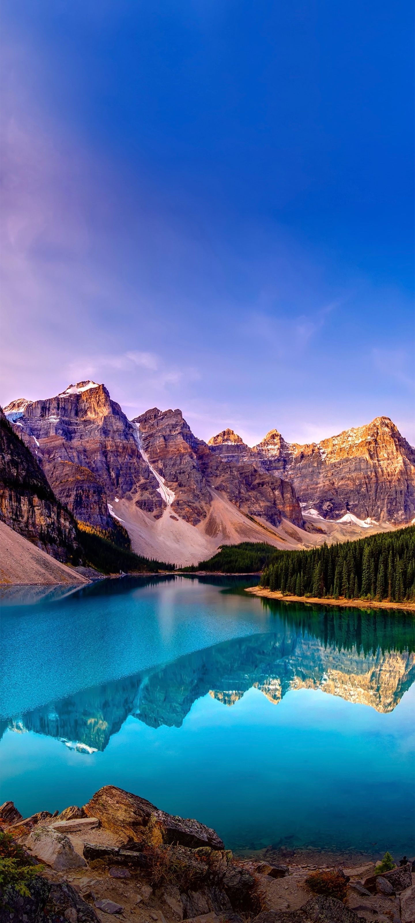 1440x3200 Vivo X80 Pro Wallpaper