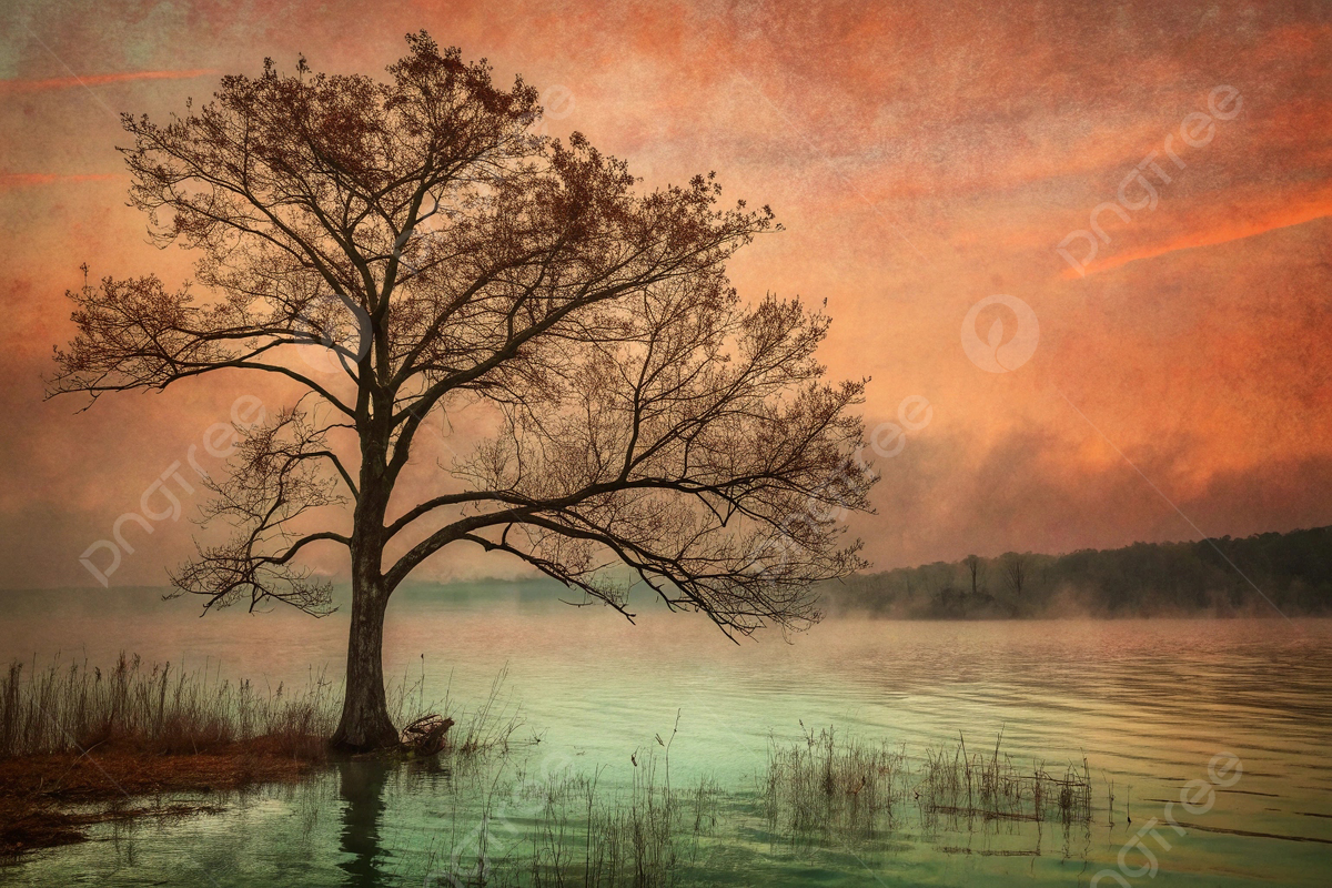 1200x800 Oxidized Copper, Hyperrealistic Nature Art, Cinematic Lighting, Dreamy Twilight Scene Background Image And Wallpaper for Free Download