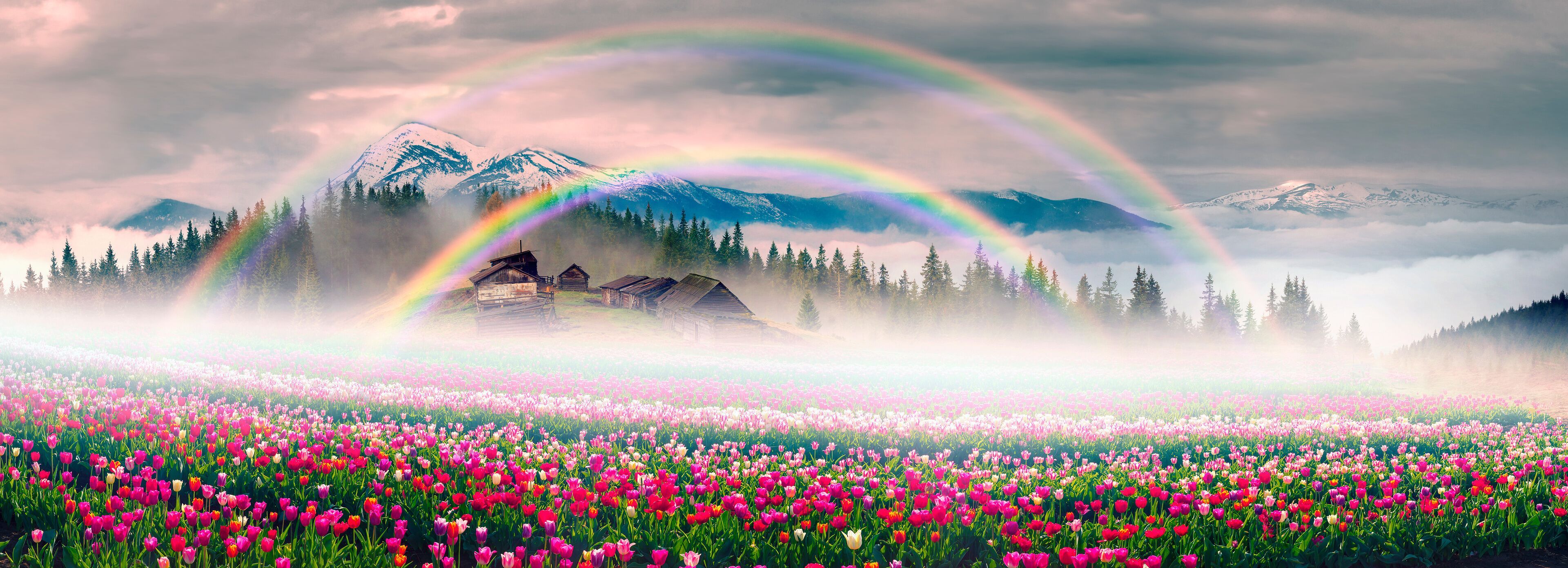 3840x1391 Things to Do in Agassiz in 2026
