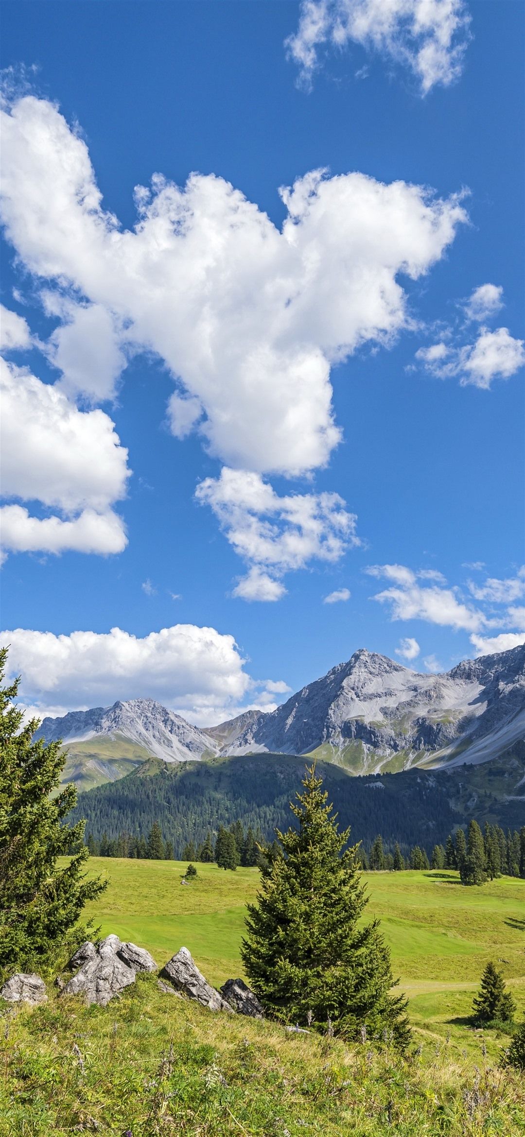 1080x2340 Switzerland, Mountains, Trees, Blue Sky, Clouds, Nature Landscape 1206x2622 IPhone 16 17 18 Pro Wallpaper, Background, Picture, Image