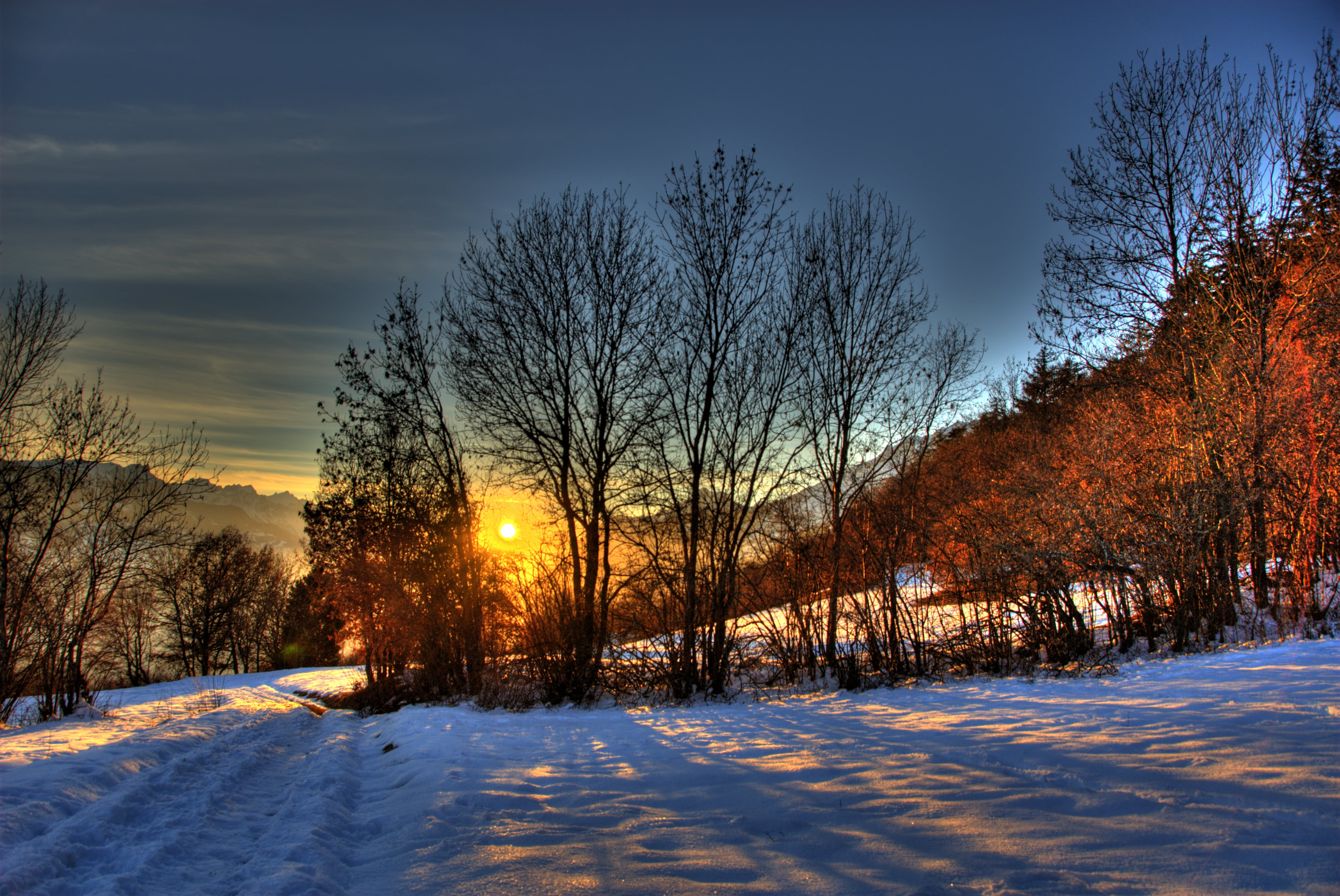 3896x2605 Baretrees surrounded by snow under blue sky during yellow sunset, switzerland HD wallpaper