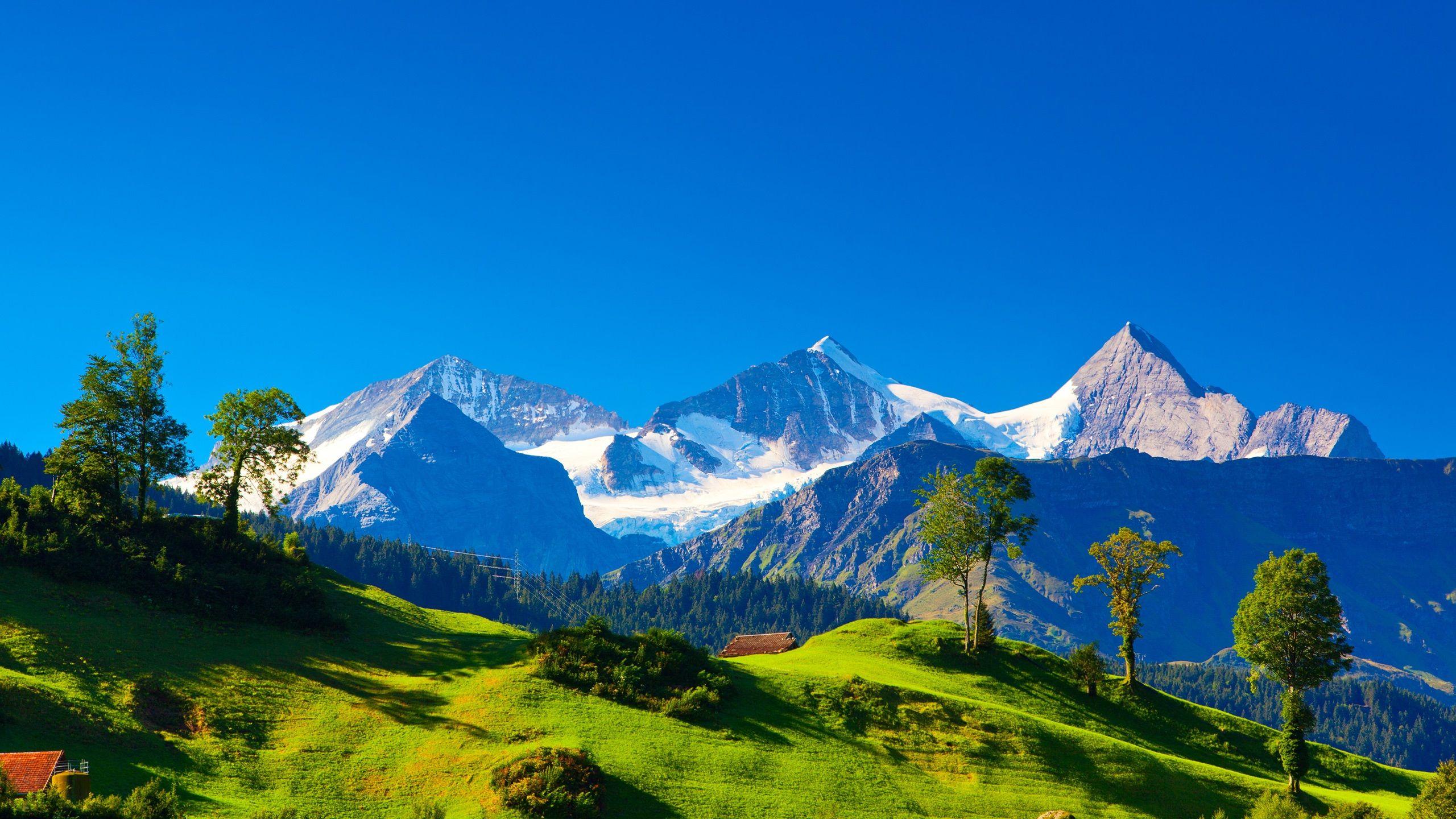 2560x1440 Switzerland, Alps, Mountains, Green Grass, Trees, Blue Sky 750x1334 IPhone 8 7 6 6S Wallpaper, Background, Picture, Image